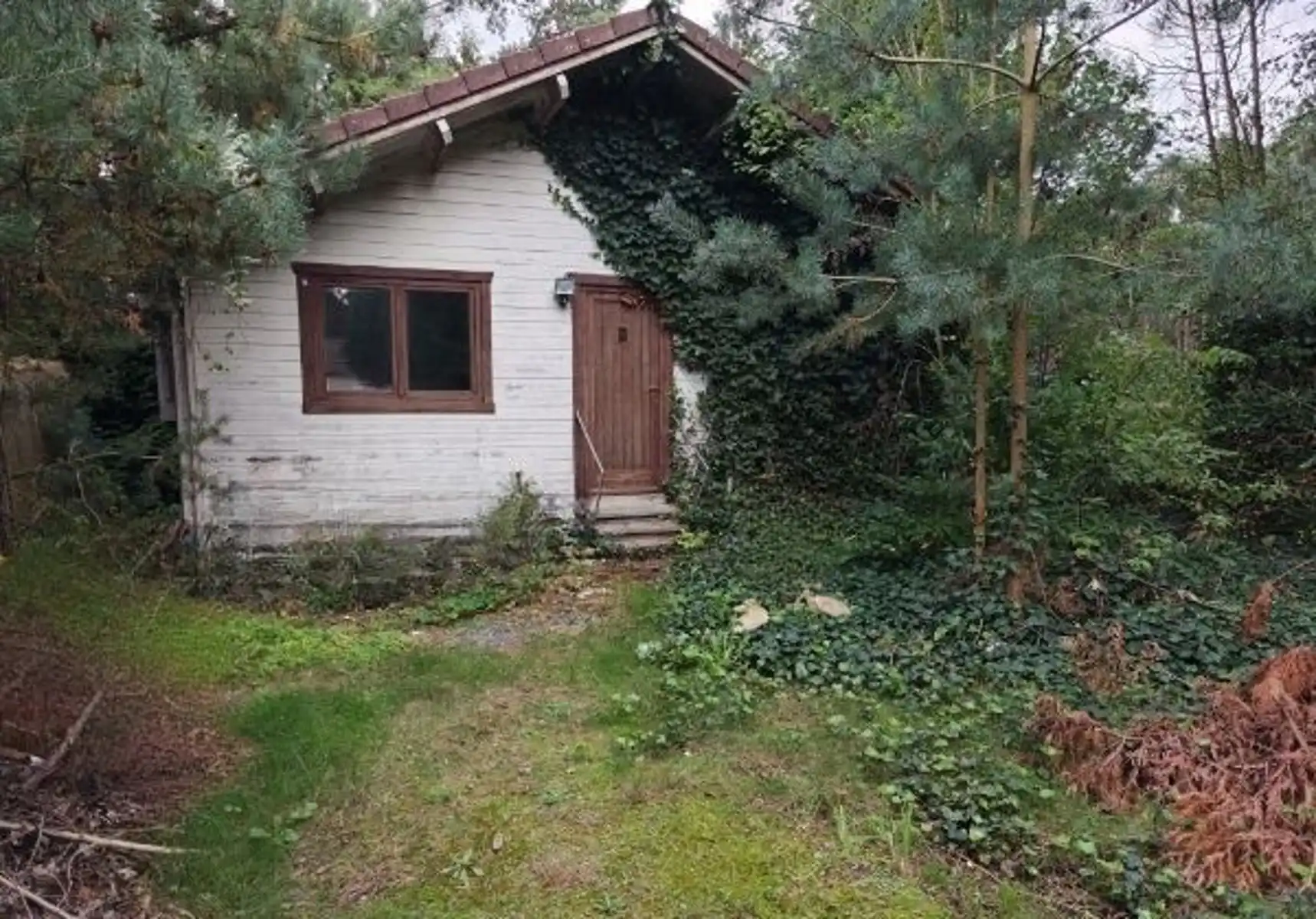 Rustig gelegen chalet foto 9