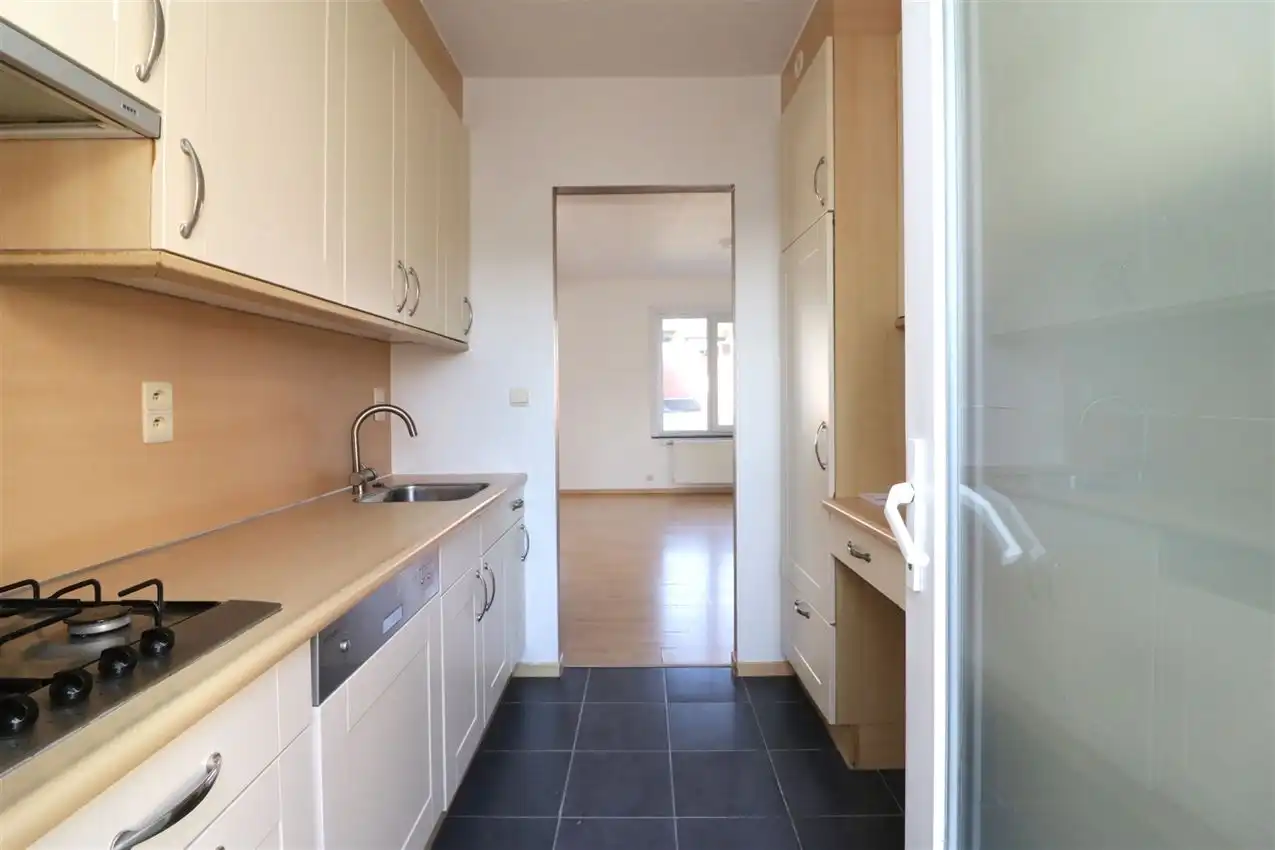 charmant, ruim, mogelijkheid beroep of kangoeroe foto 10