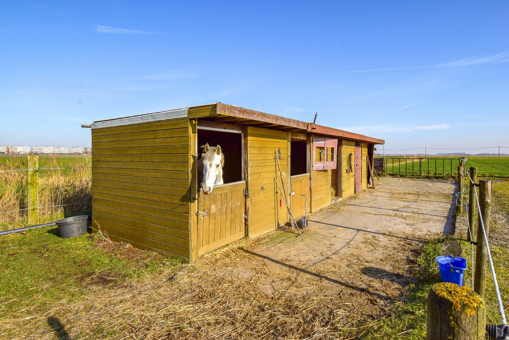  Mooi perceel weiland (2920 m²) met bijhorende paardenstalling op landelijke ligging te Westende foto 8
