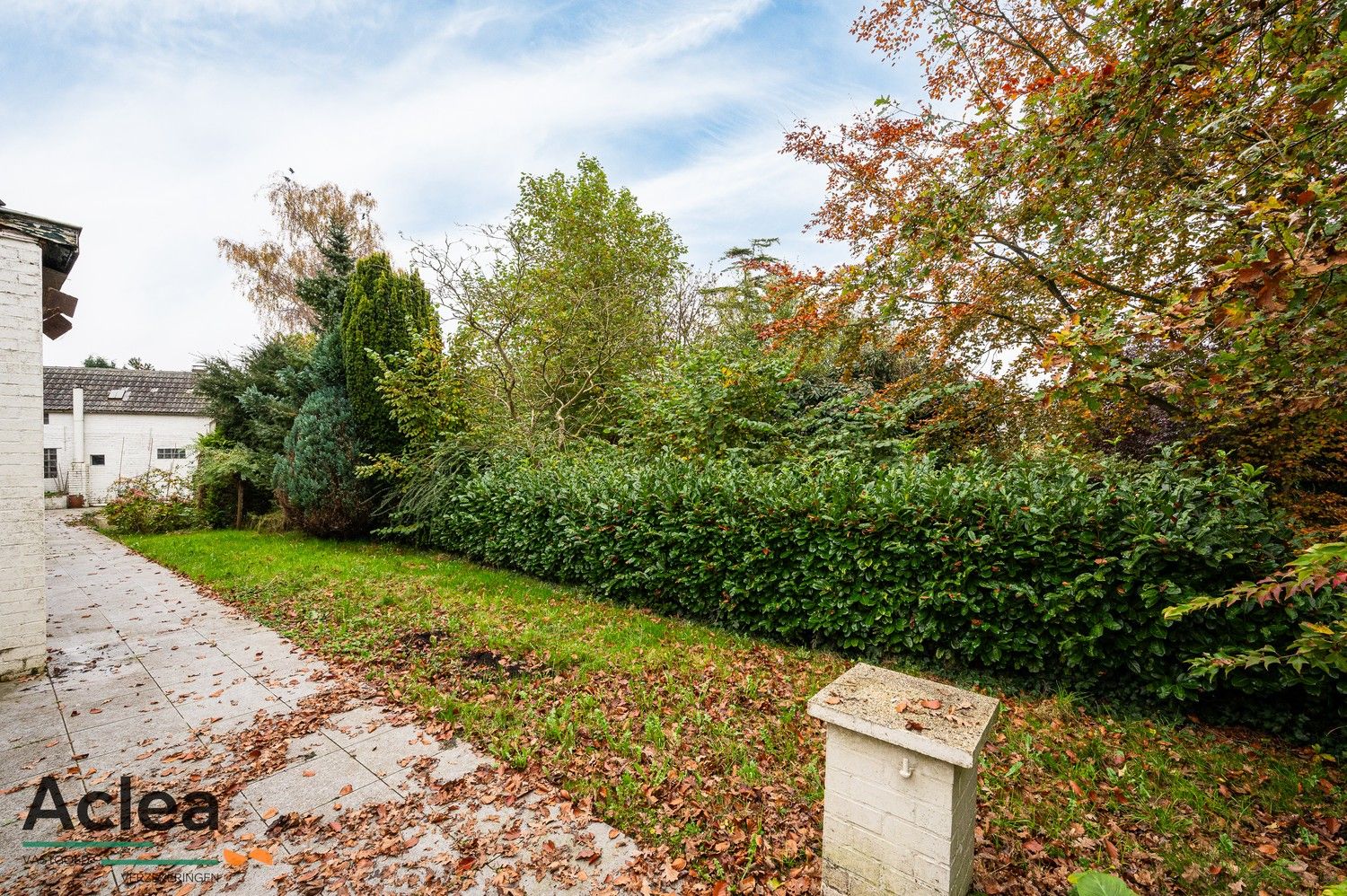 Renovatieproject op een rustige locatie in de Watervlietse polders foto 10