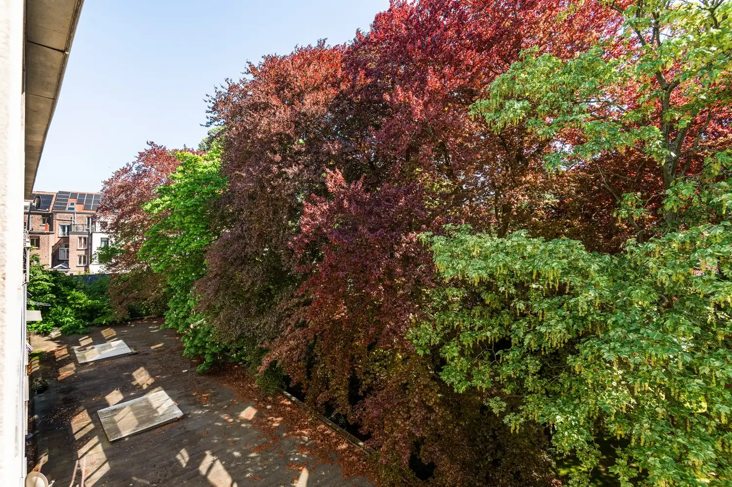 Lichtrijke studio aan het Harmoniepark! foto 12