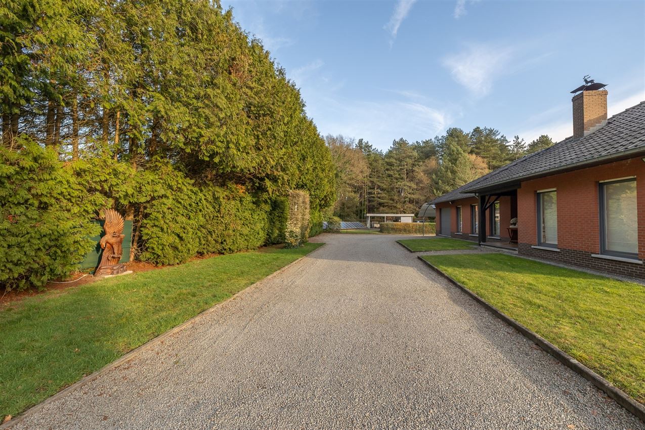 verborgen parel in het groen foto 60