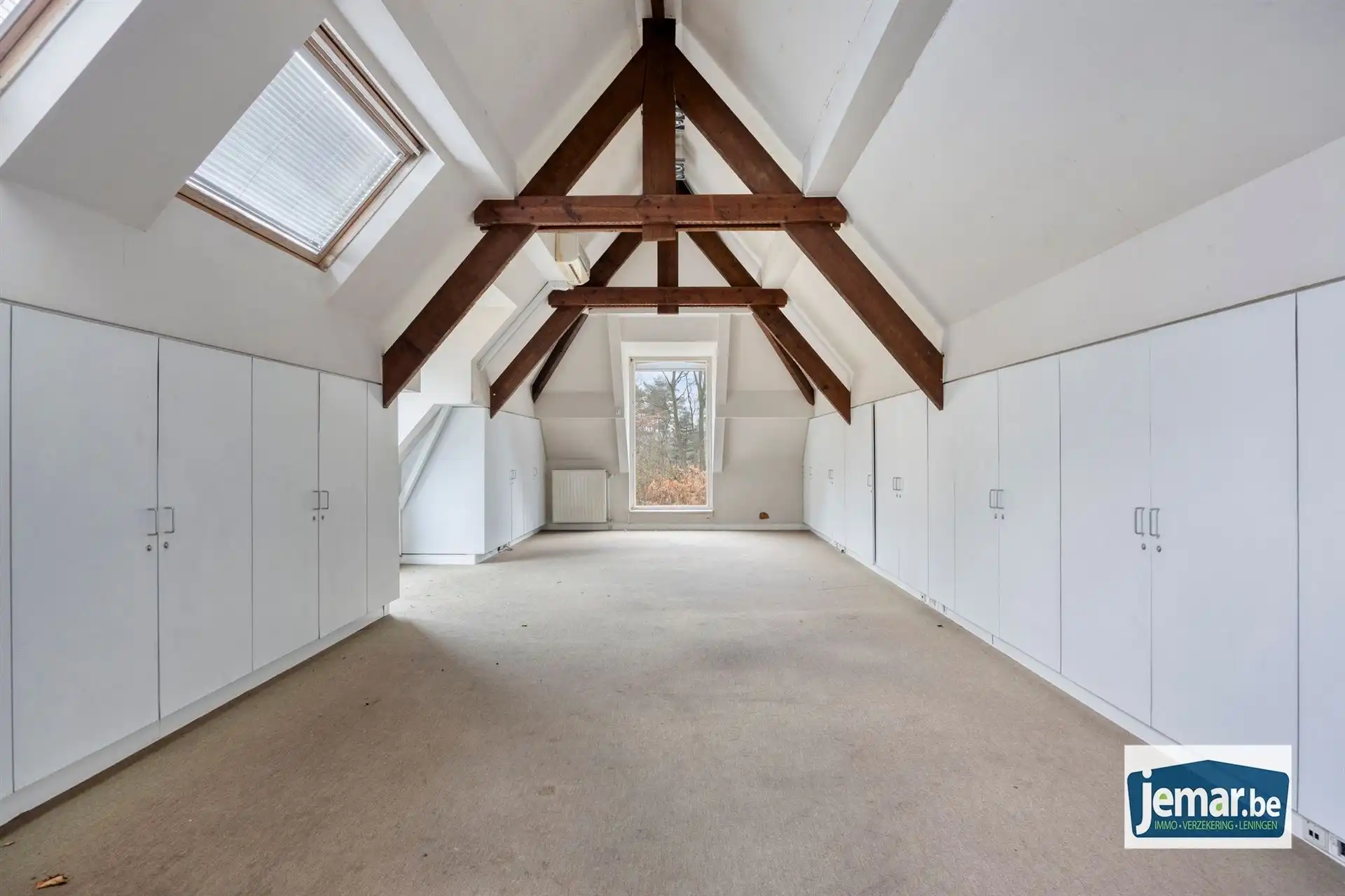 Villa met professionele opslagruimte, kelder en kantoorruimtes. foto 47