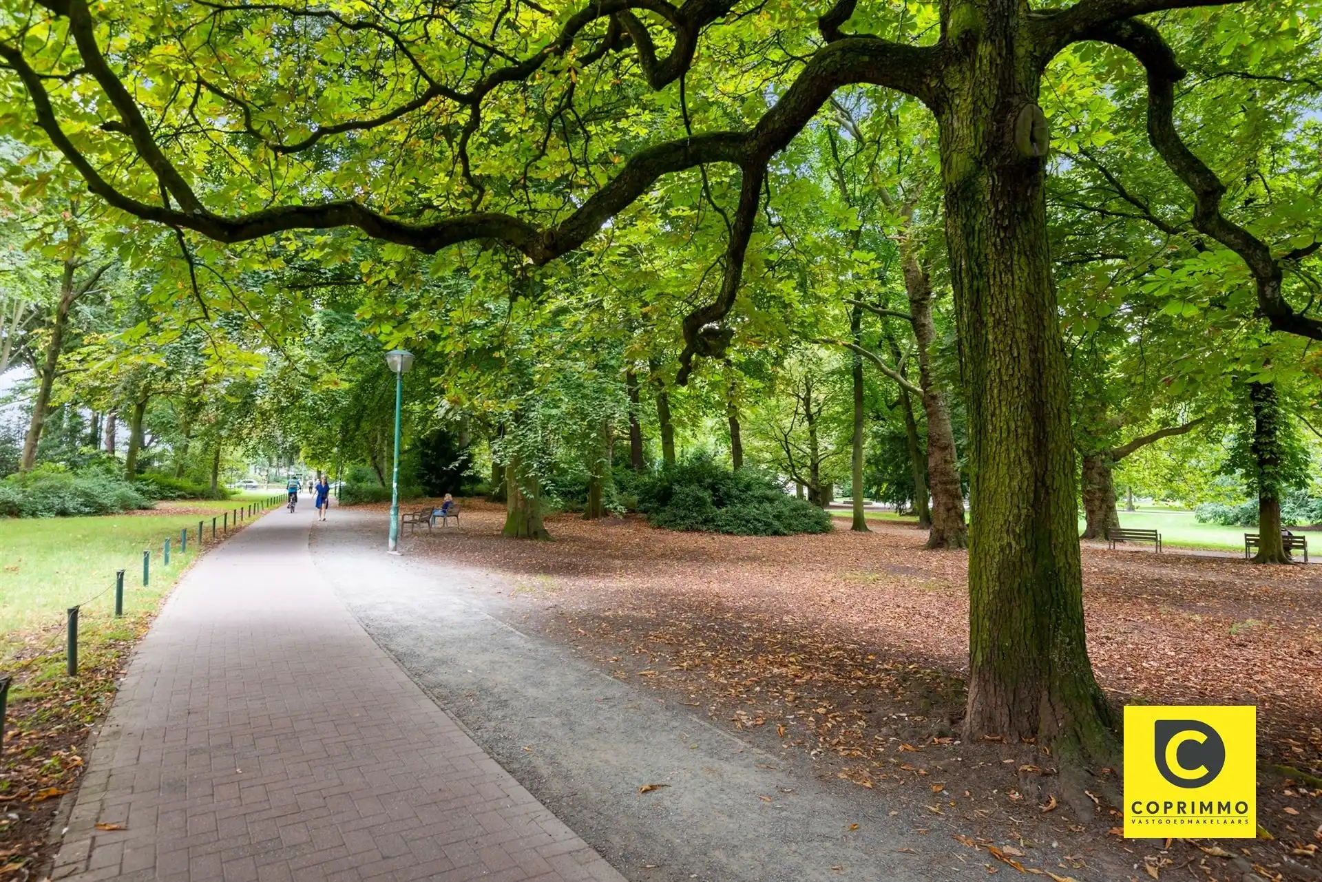 Gerenoveerd pareltje met 3 slpks en 2 terrassen in de Merode wijk! foto 18