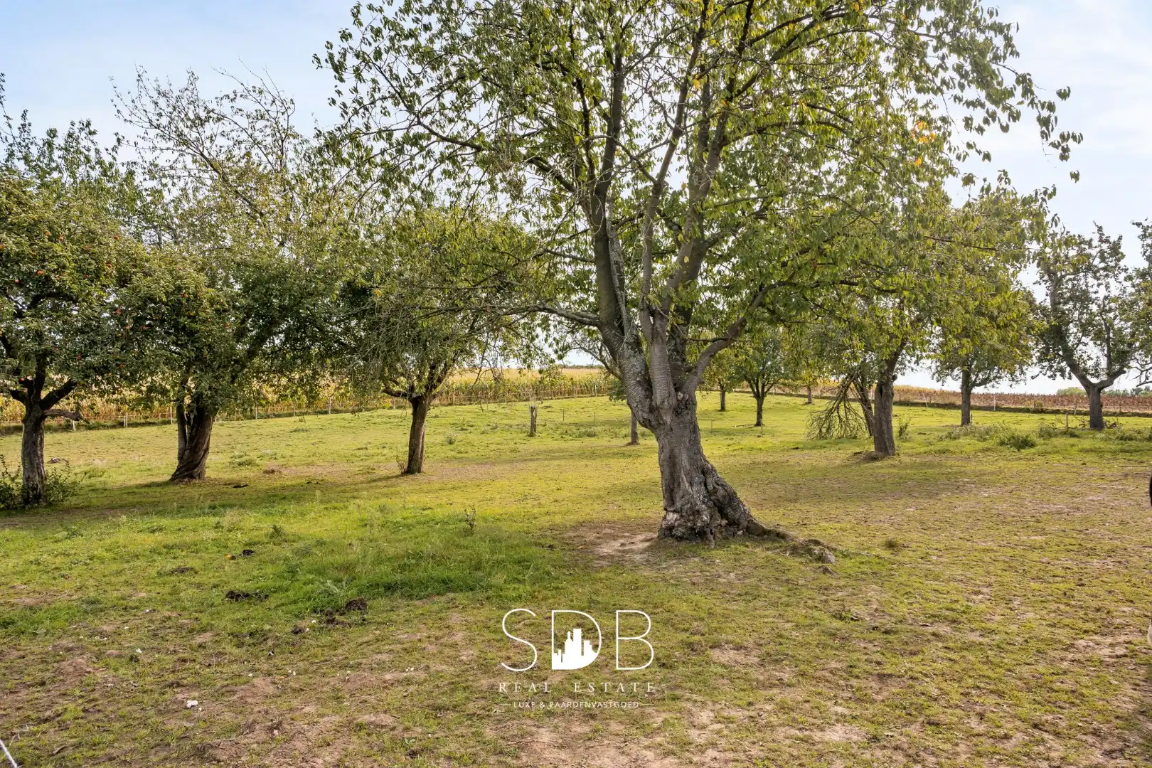 Prachtige landelijke hoeve woning met gezinstuin en graslanden op 1hectare foto 30