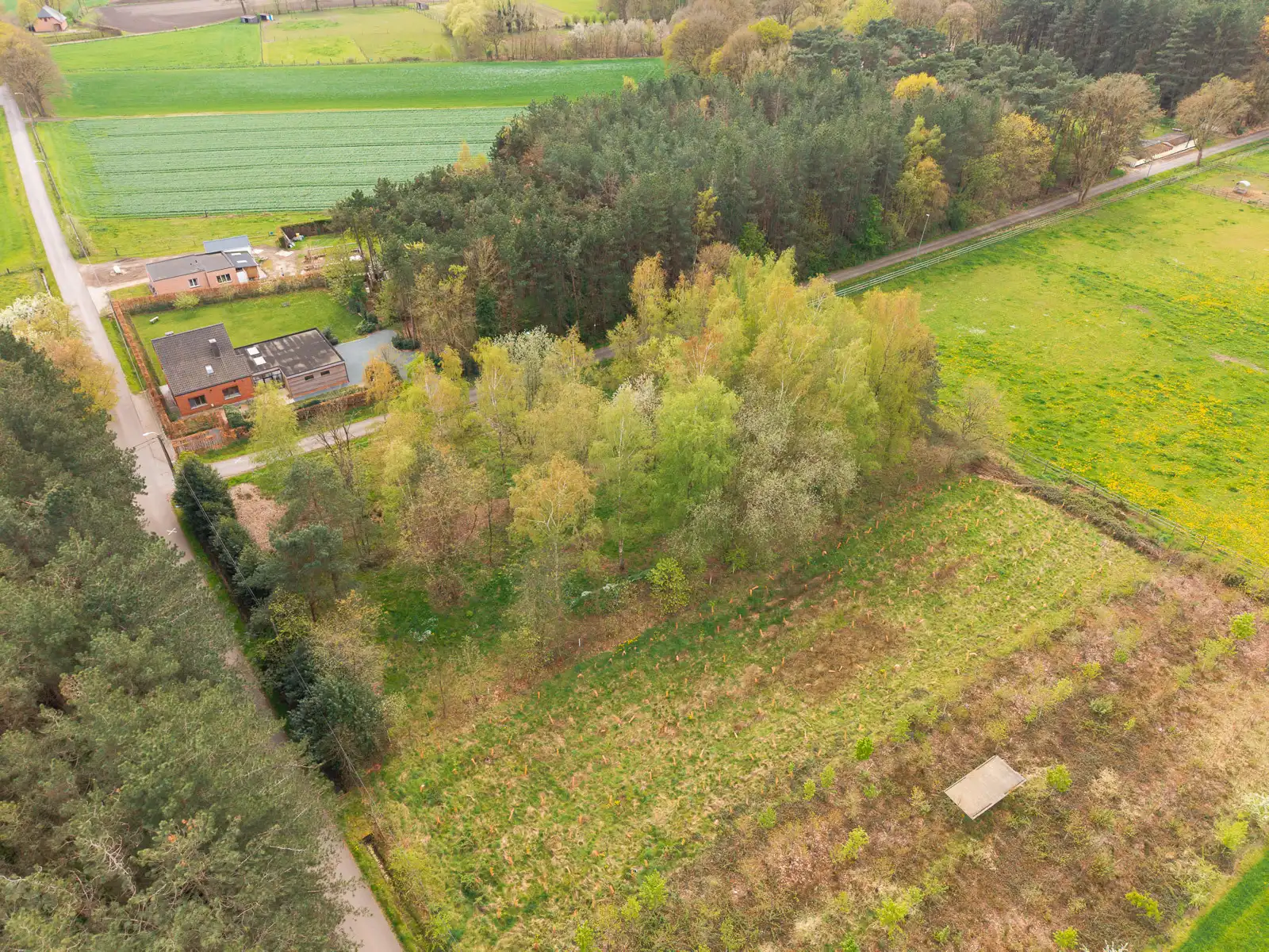 Prachtige landbouwgrond van 3826 m² gelegen in oase van rust foto 2