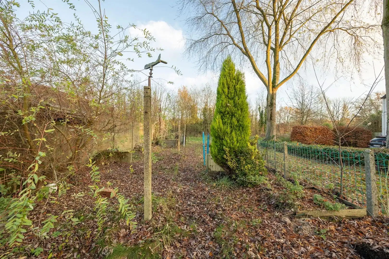 Half open bouwgrond in natuuromgeving foto 4
