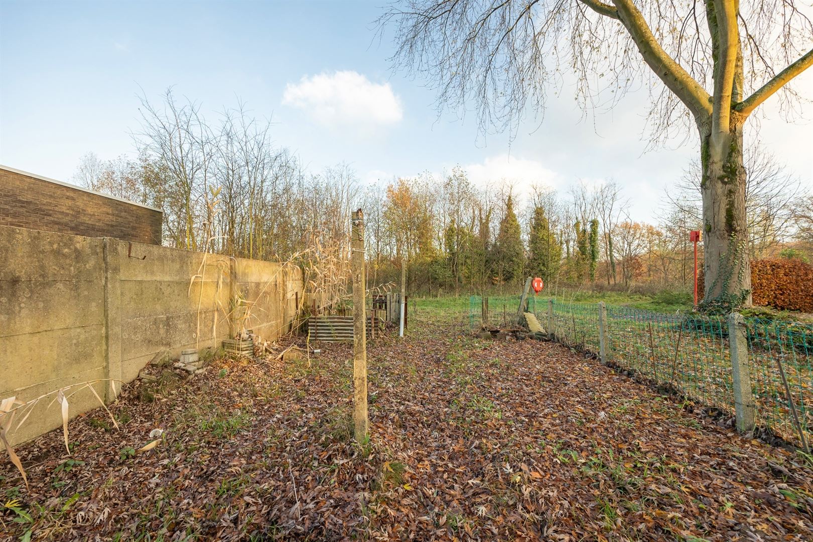 Half open bouwgrond in natuuromgeving foto 4