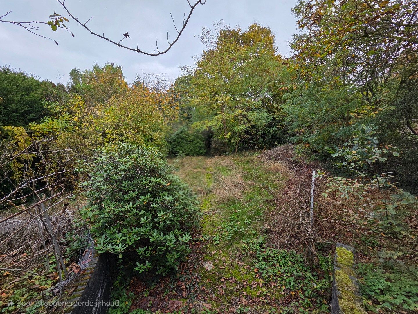 Ruime te renoveren woning met aanpalende gronden voor een totale oppervlakte van 12860 m²! foto 26