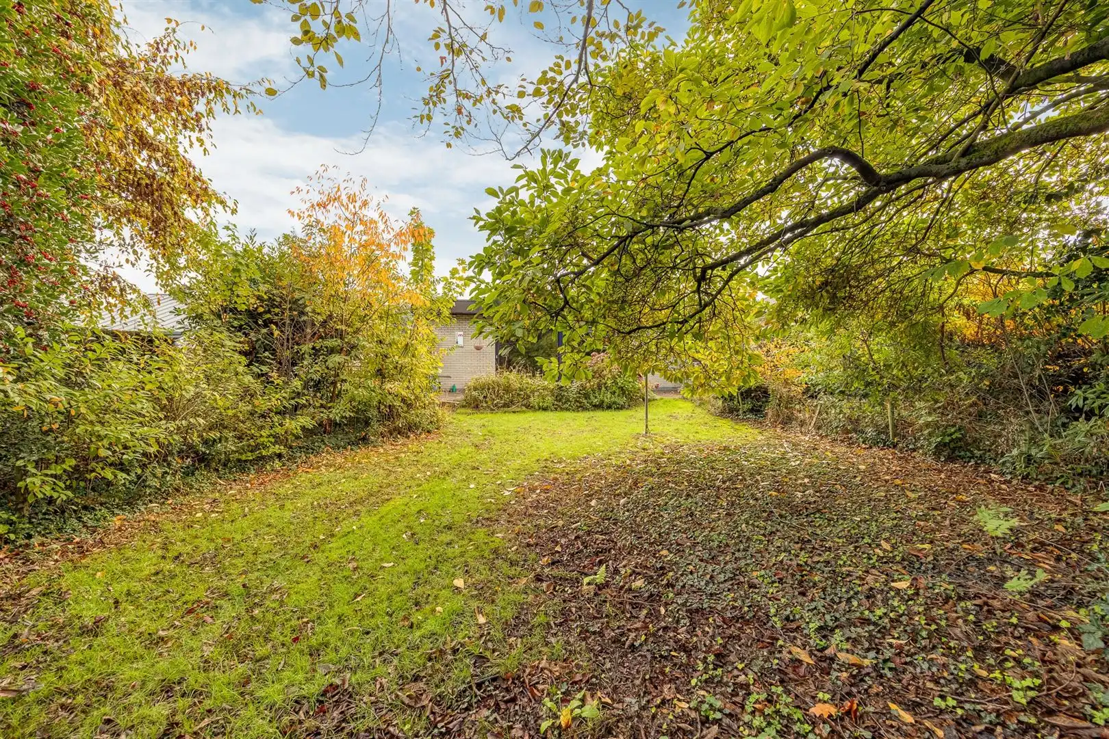 Te renoveren woning met veel potentieel! foto 2