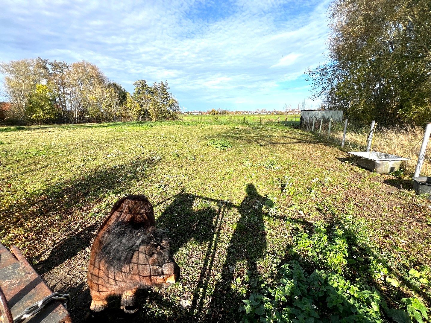 Weiland te koop – 3.160 m² – Zwevegem 🌿🐴 foto 6