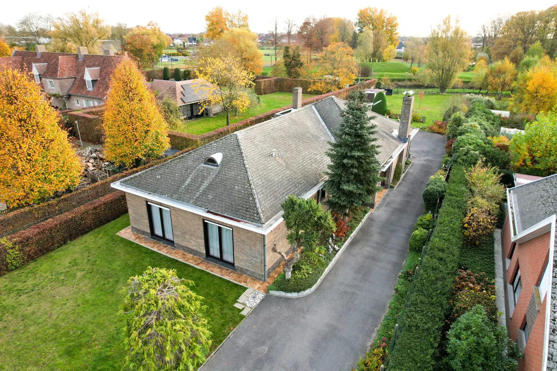 Hoofdfoto van de publicatie: Ruime gelijkvloerse villa aan Ter Borcht op 1.954 m²