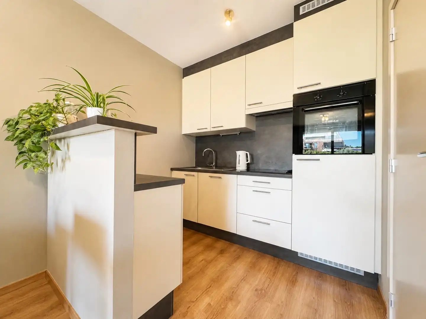 Rustig gelegen 1 slaapkamerappartement in centrum Aalter foto 9