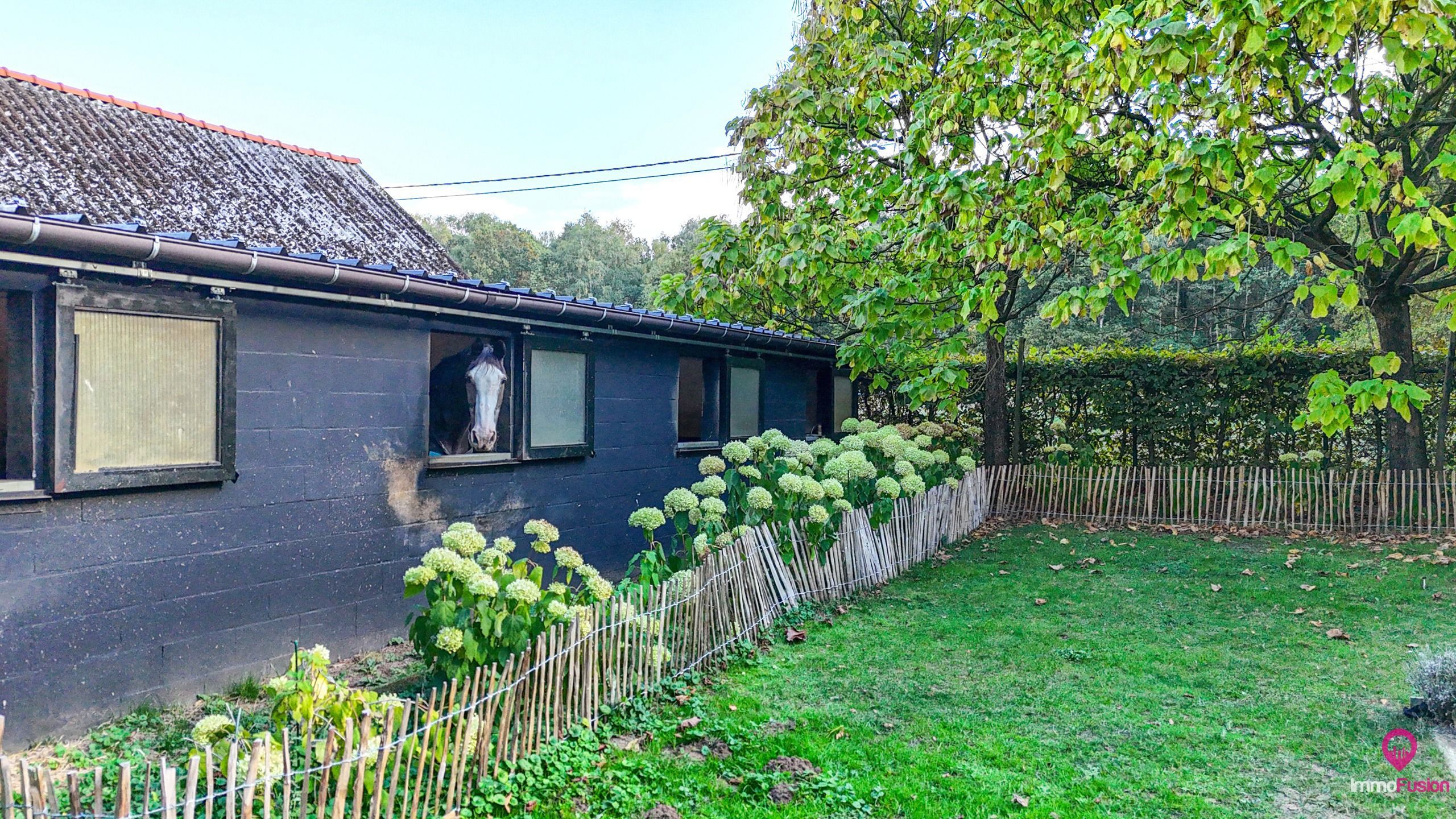 Idyllische woning met 2 slaapkamers, weide en stallen! foto 55