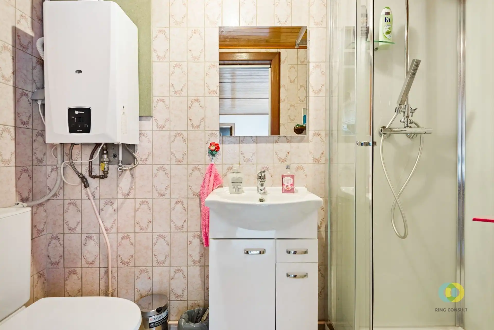 Op te frissen woning met potentieel in Vilvoorde foto 6