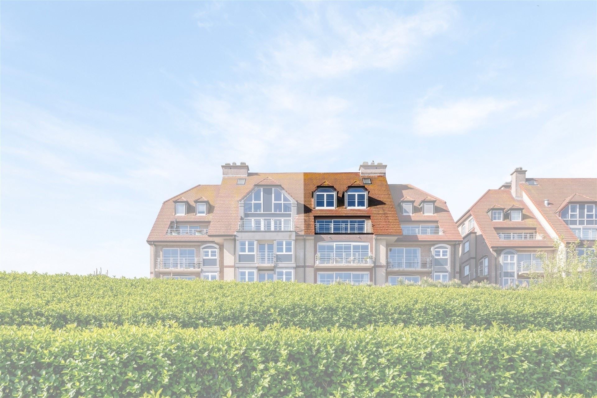 WIJDS UITZICHT / TERRASSEN  foto 34