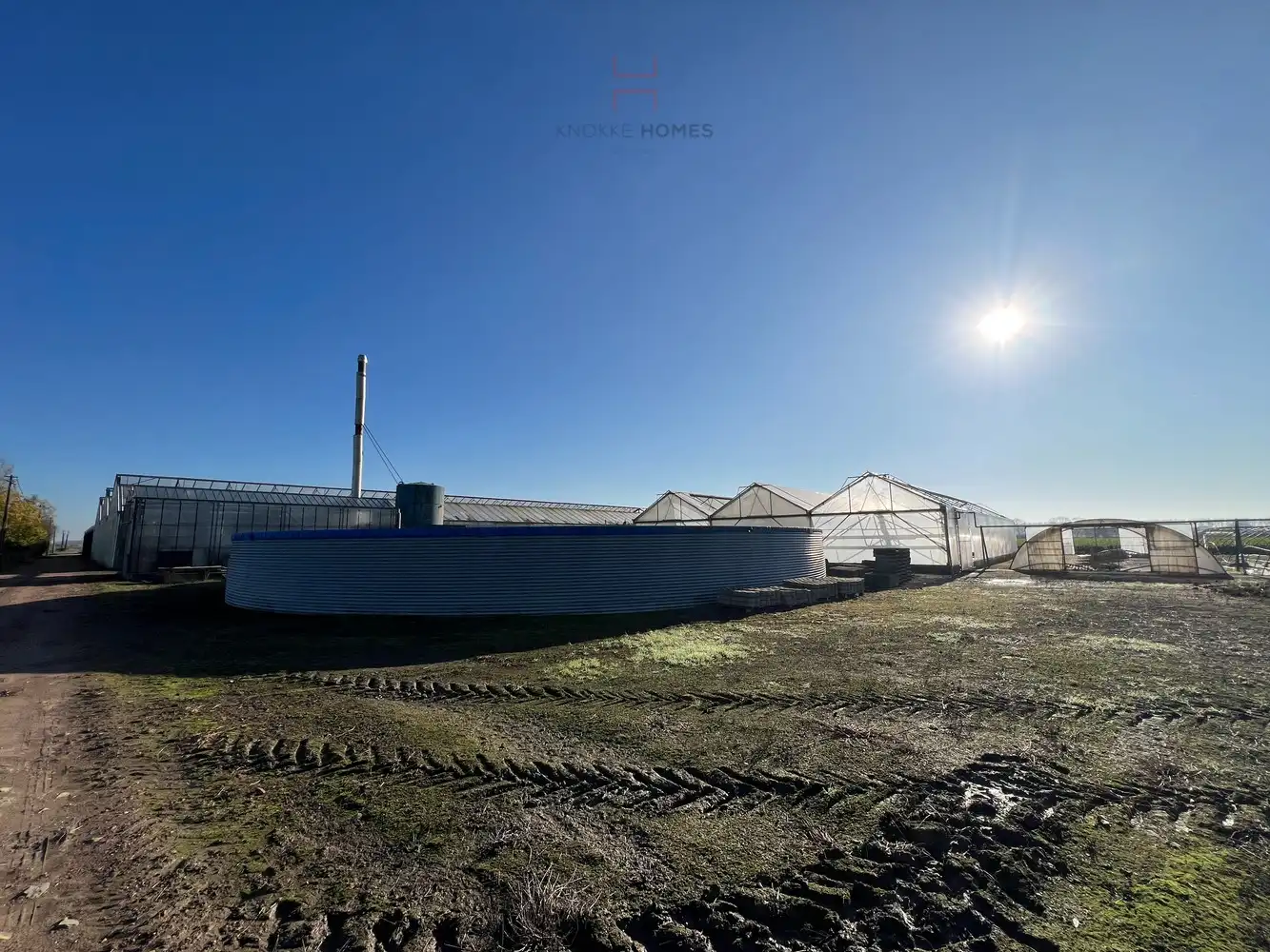 Ca.5.000 m2 serres met loods - bestemd voor agrarische doeleinden. foto 8