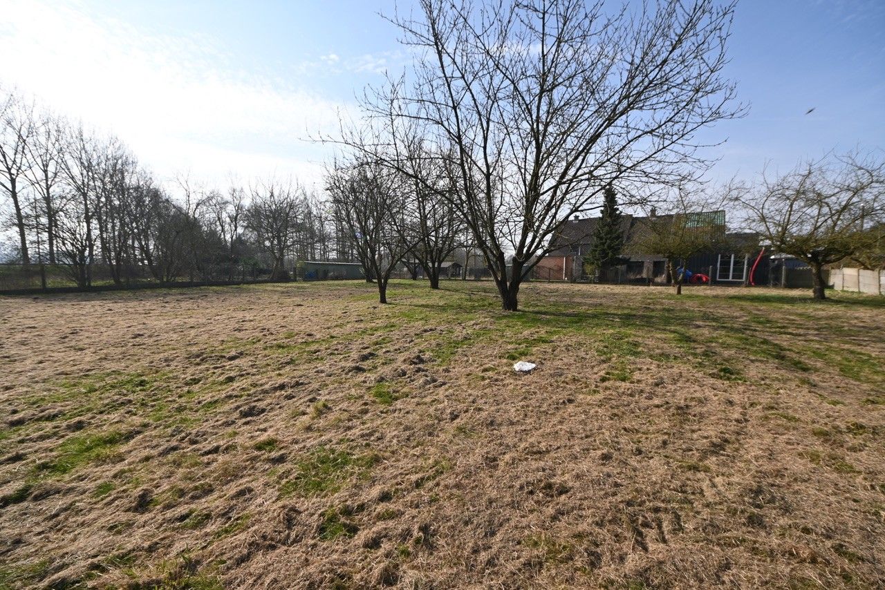 Multifunctioneel pand met ruime tuin. foto 12