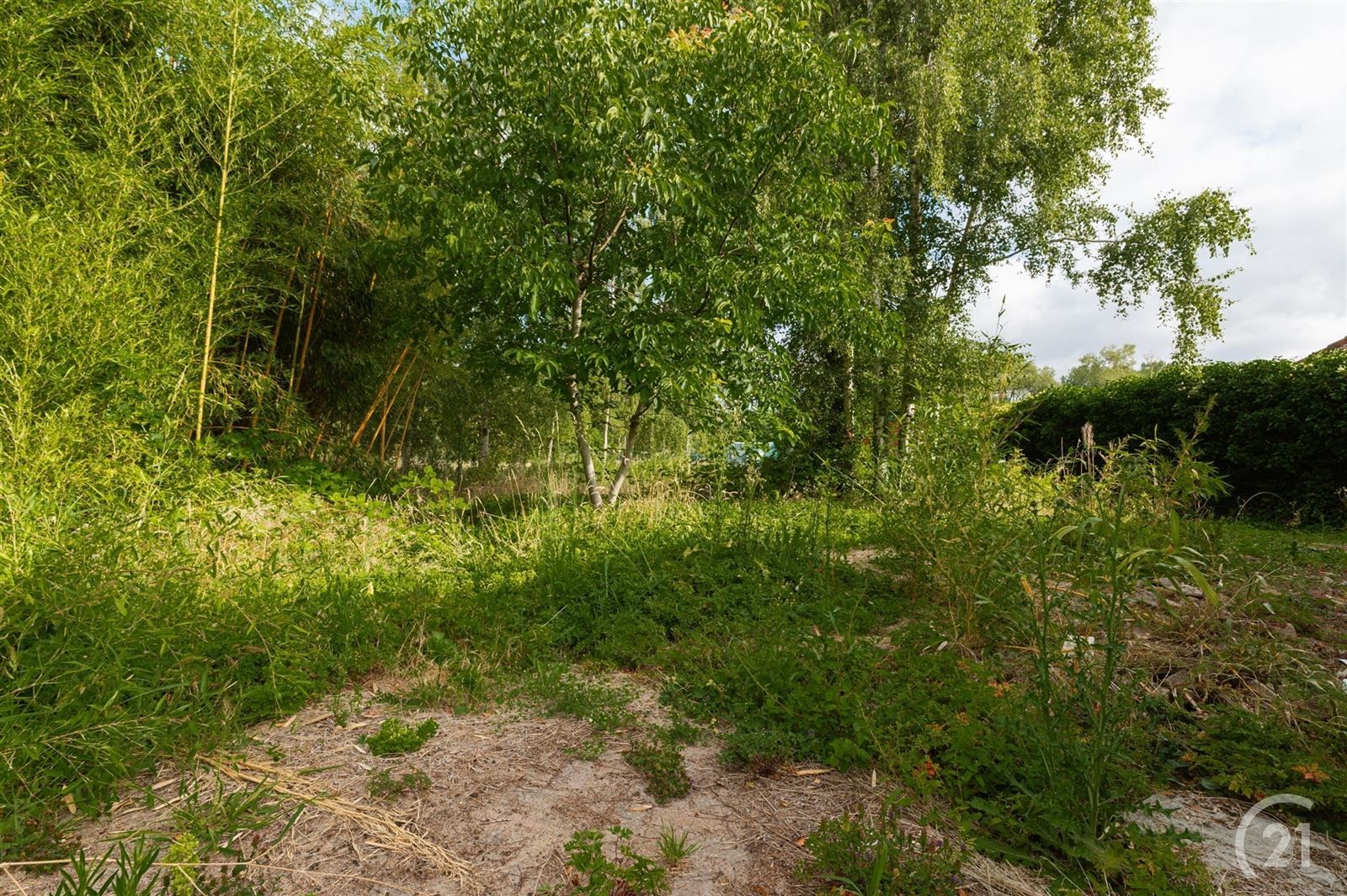 deels gerenoveerde woning met tuin op 12are34 foto 3