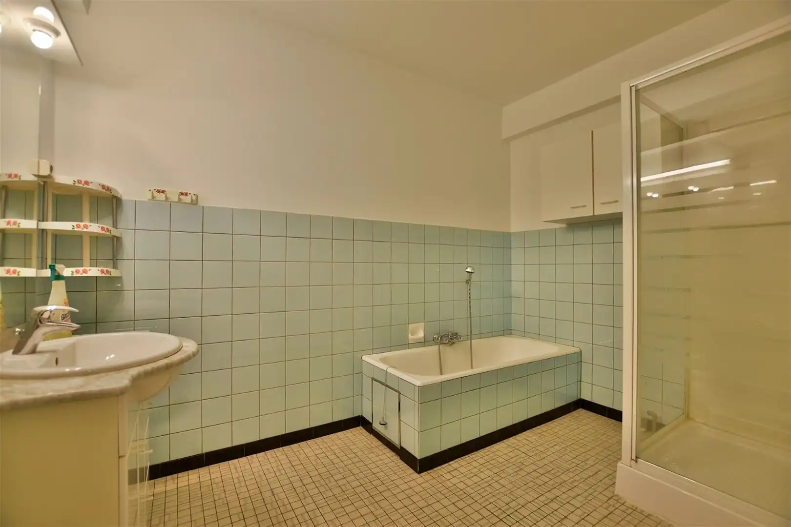 Ruim appartement met uniek zicht op stadspark en Brusselse Poort foto 12