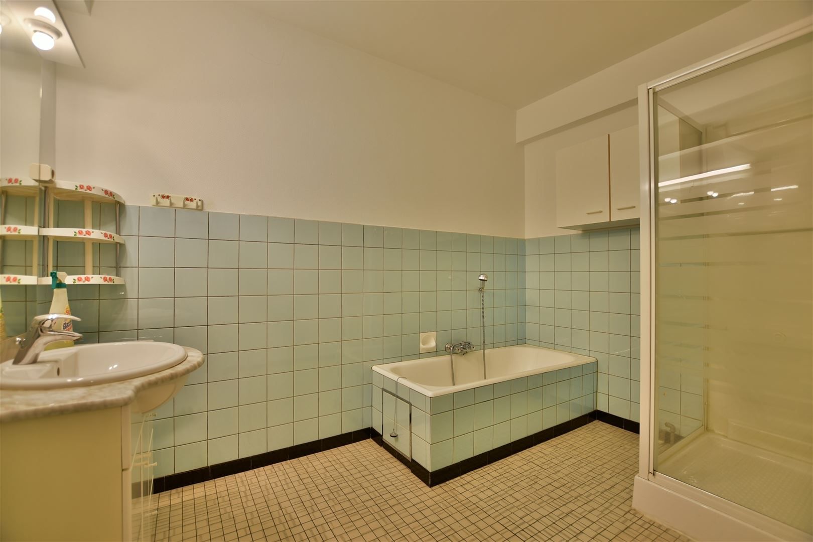 Ruim appartement met uniek zicht op stadspark en Brusselse Poort foto 12