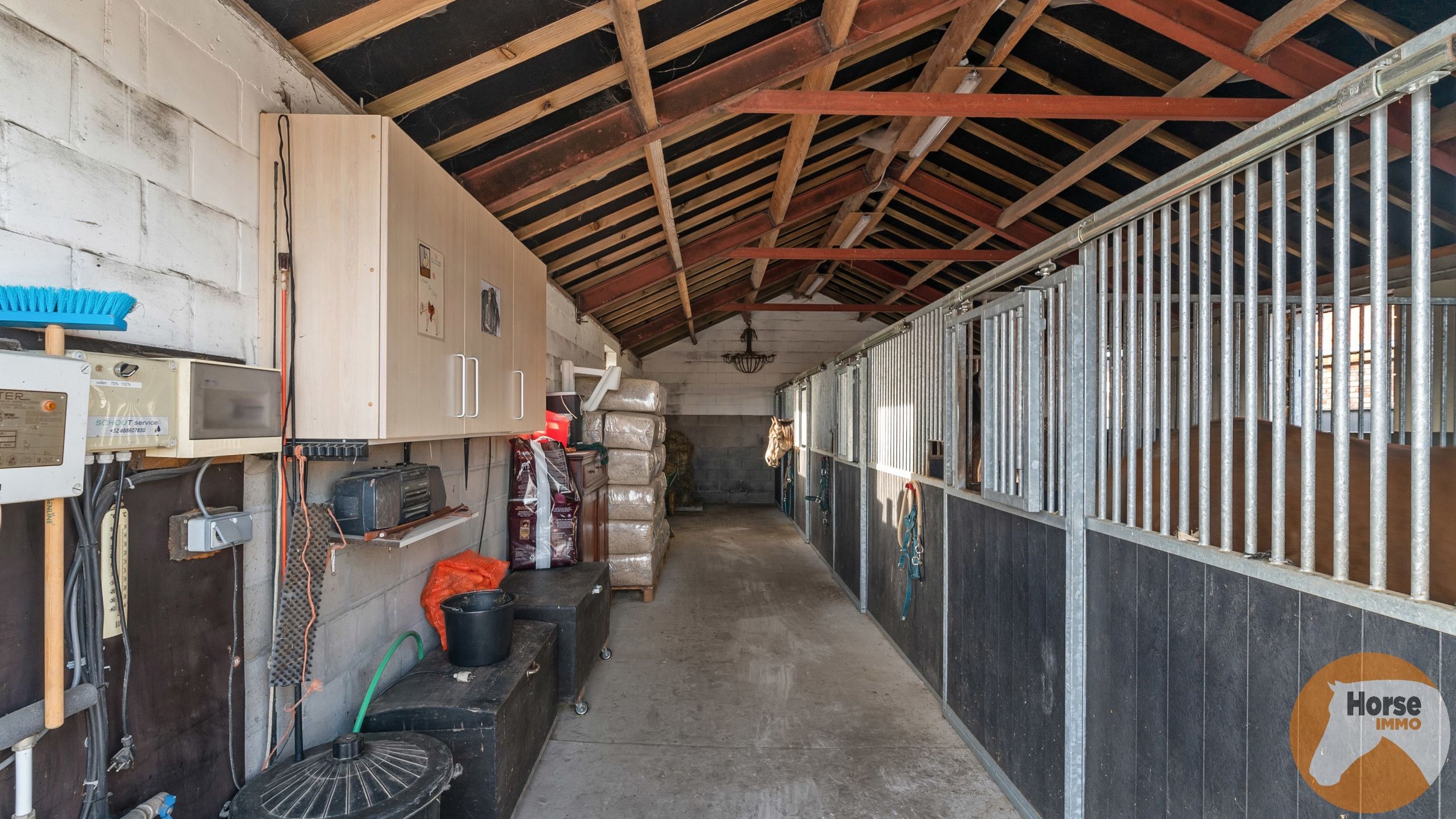 LIERDE -  Rustig gelegen vierkantshoeve op 1,5 ha foto 35