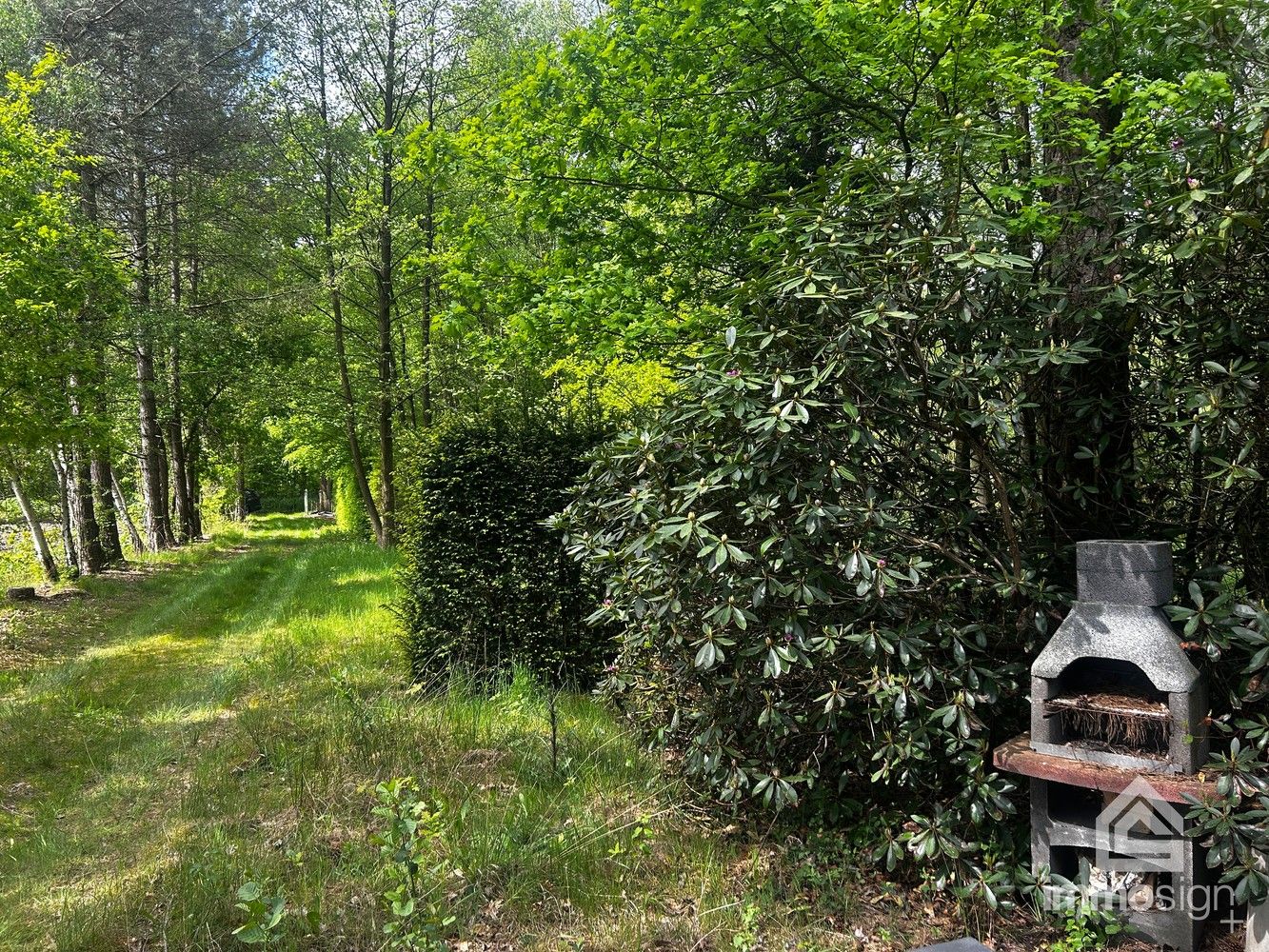 Uniek stukje natuurgebied van 1.470 m² gelegen te Hamont-Achel! foto 6