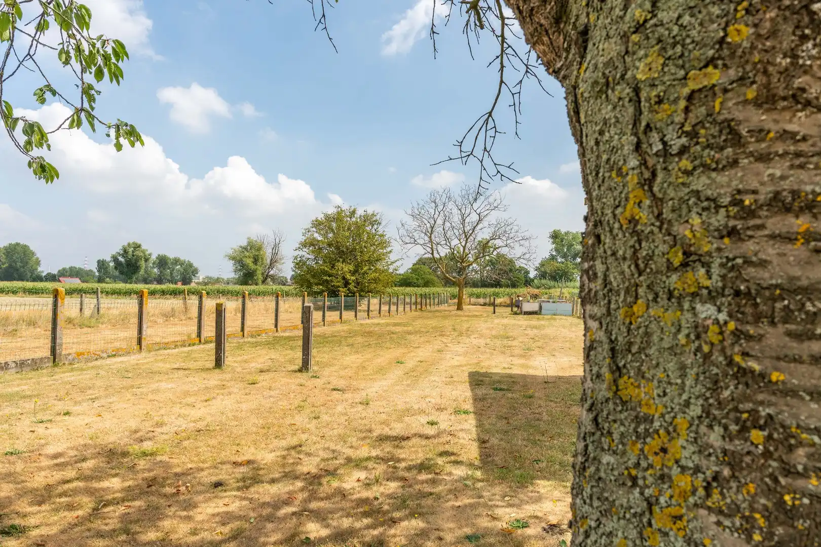 Landelijk wonen met ruimte, rust en eindeloze mogelijkheden foto 28