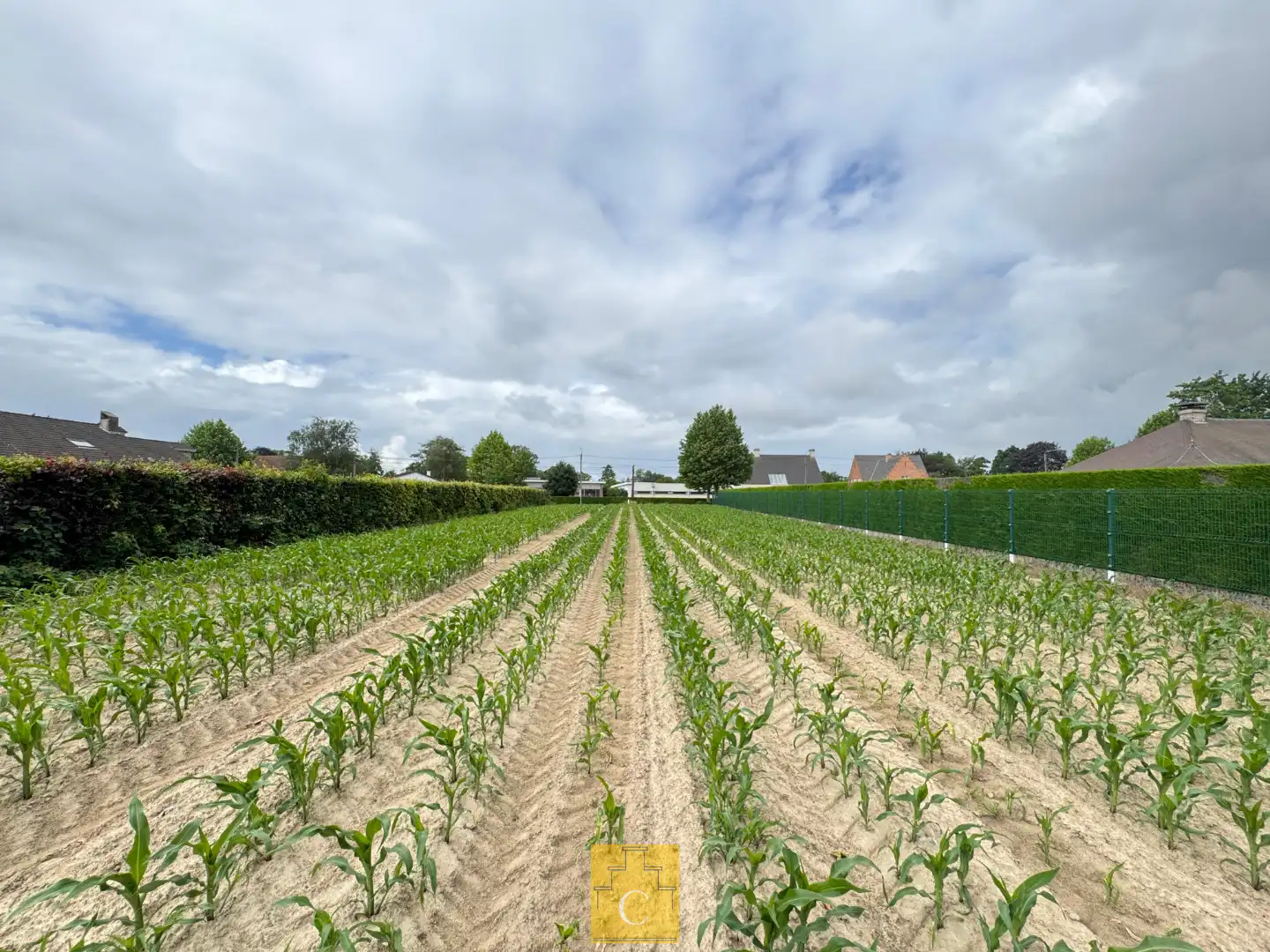 Ruime bouwgrond met achterliggend landbouwperceel op een totale oppervlakte van ca. 1.863 m² foto 4