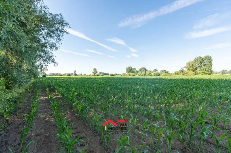 Prachtig gelegen perceel landbouwgrond 12810 m² foto 8