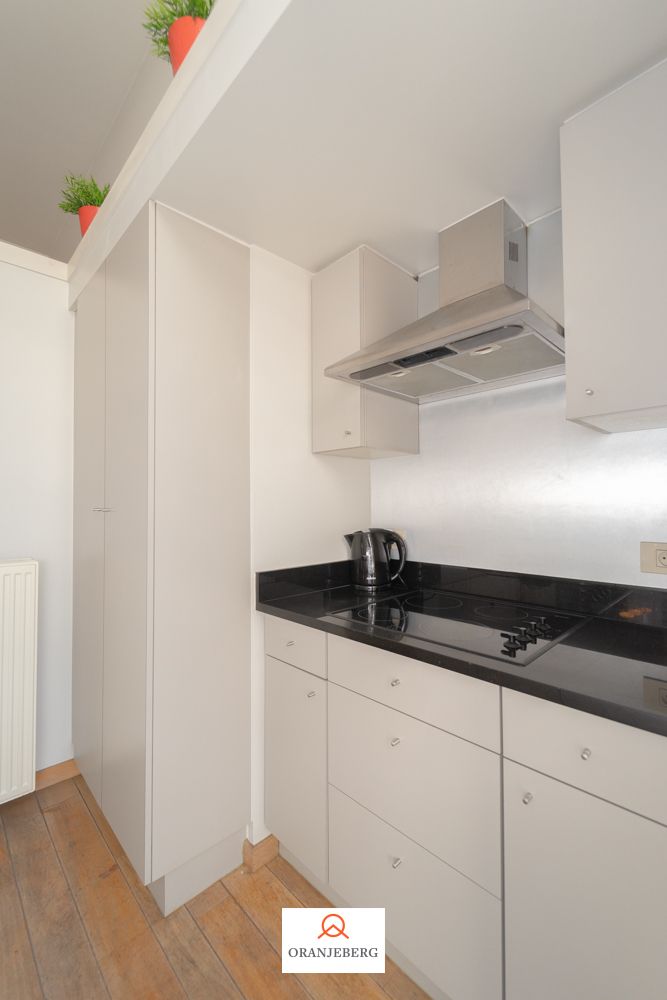 Duplex  2 slaapkamer appartement vlakbij Zuid foto 9