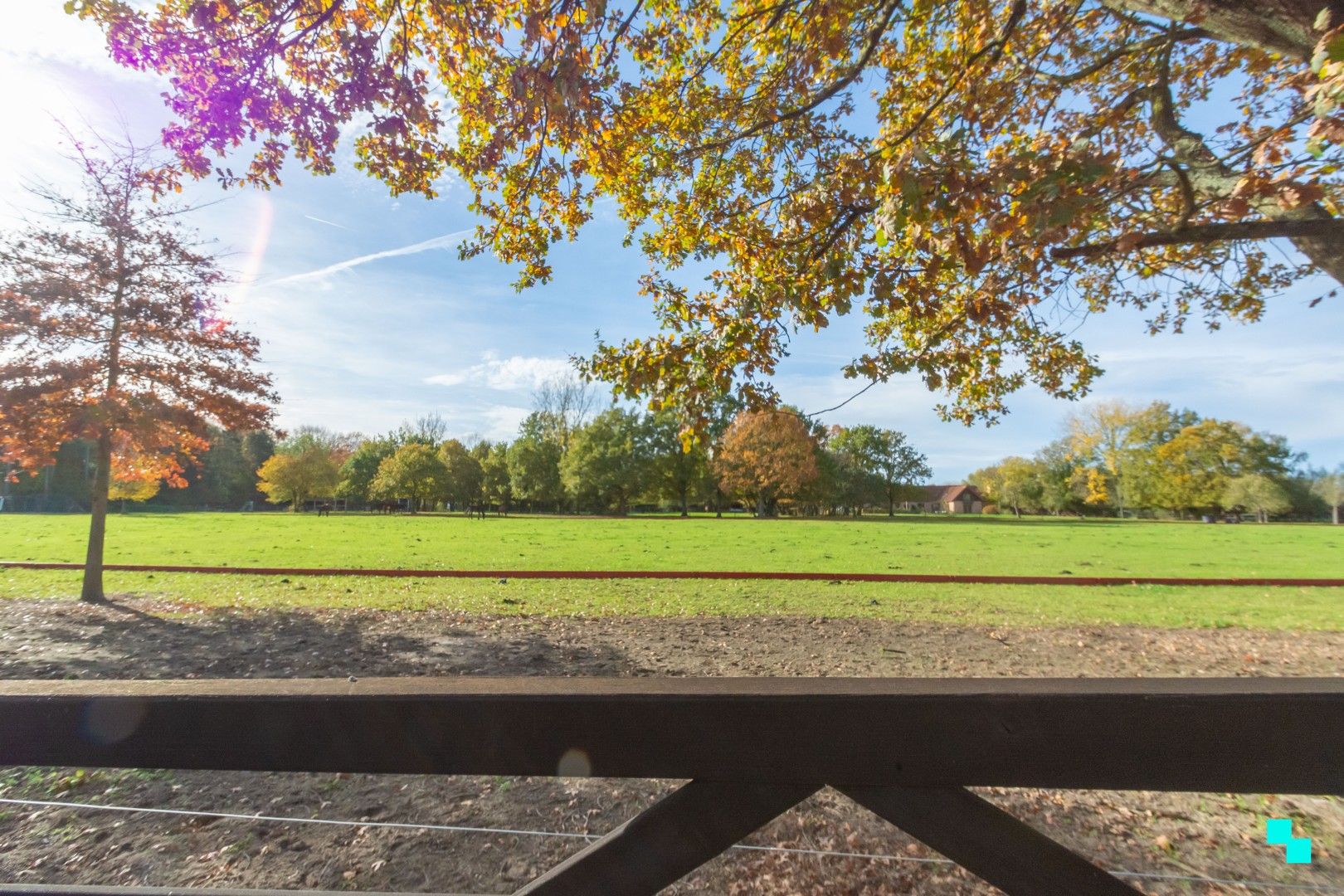 Ruime woning op rustige locatie te Wetteren foto 22