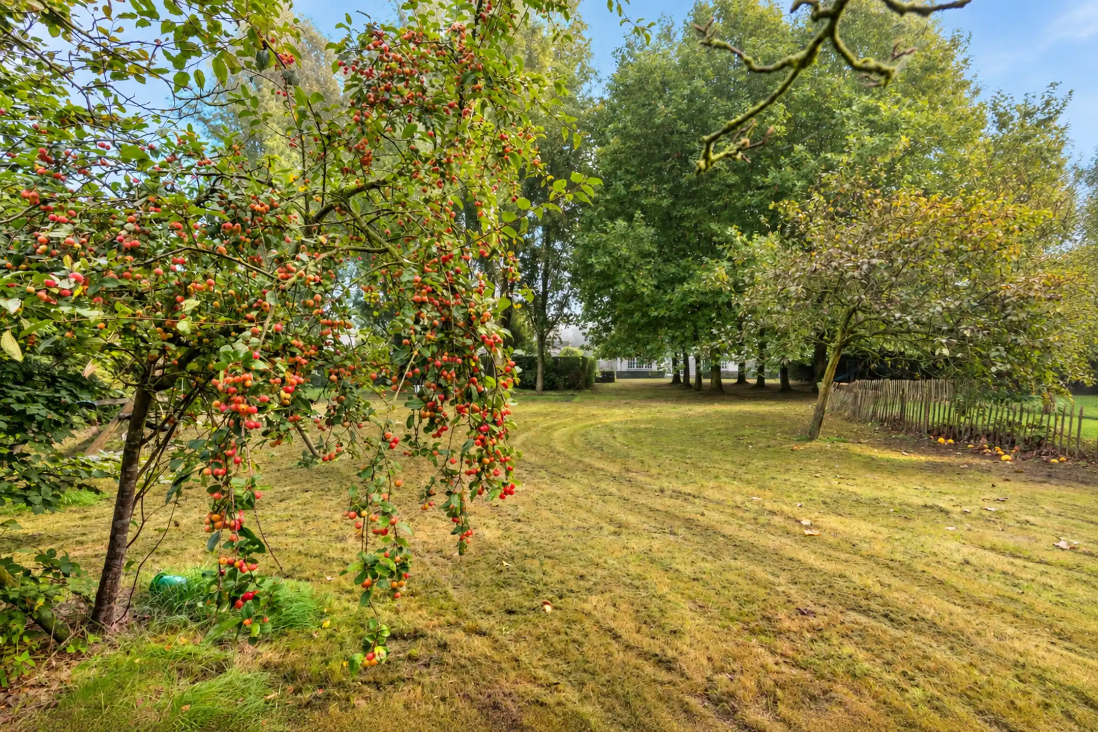 Knap afgewerkte villa op ca. 2.602m² grond, 4 slpk en 2 bdk, te Meersel-Dreef foto 38