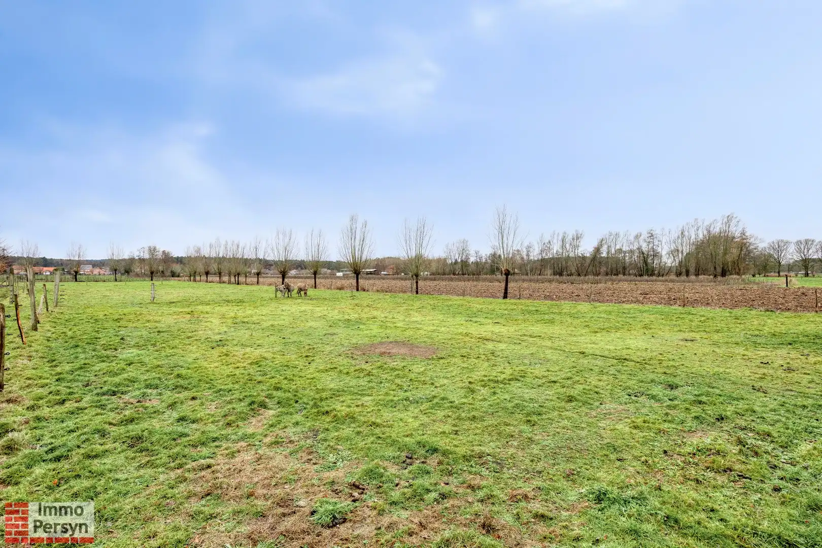 Exclusieve villa op 1,2ha in het groene Langdorp foto 63