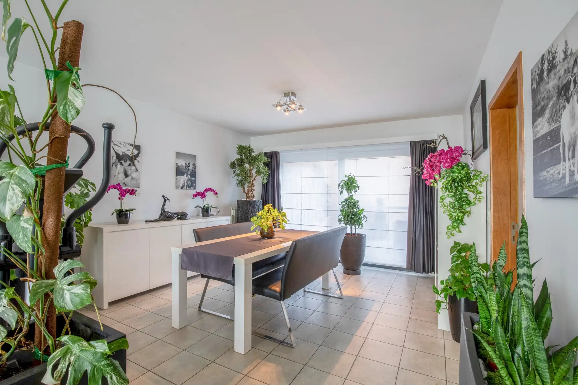 Instapklare gezinswoning met 3 slaapkamers, garage en verrassend ruime tuin in Sint-Niklaas foto 9