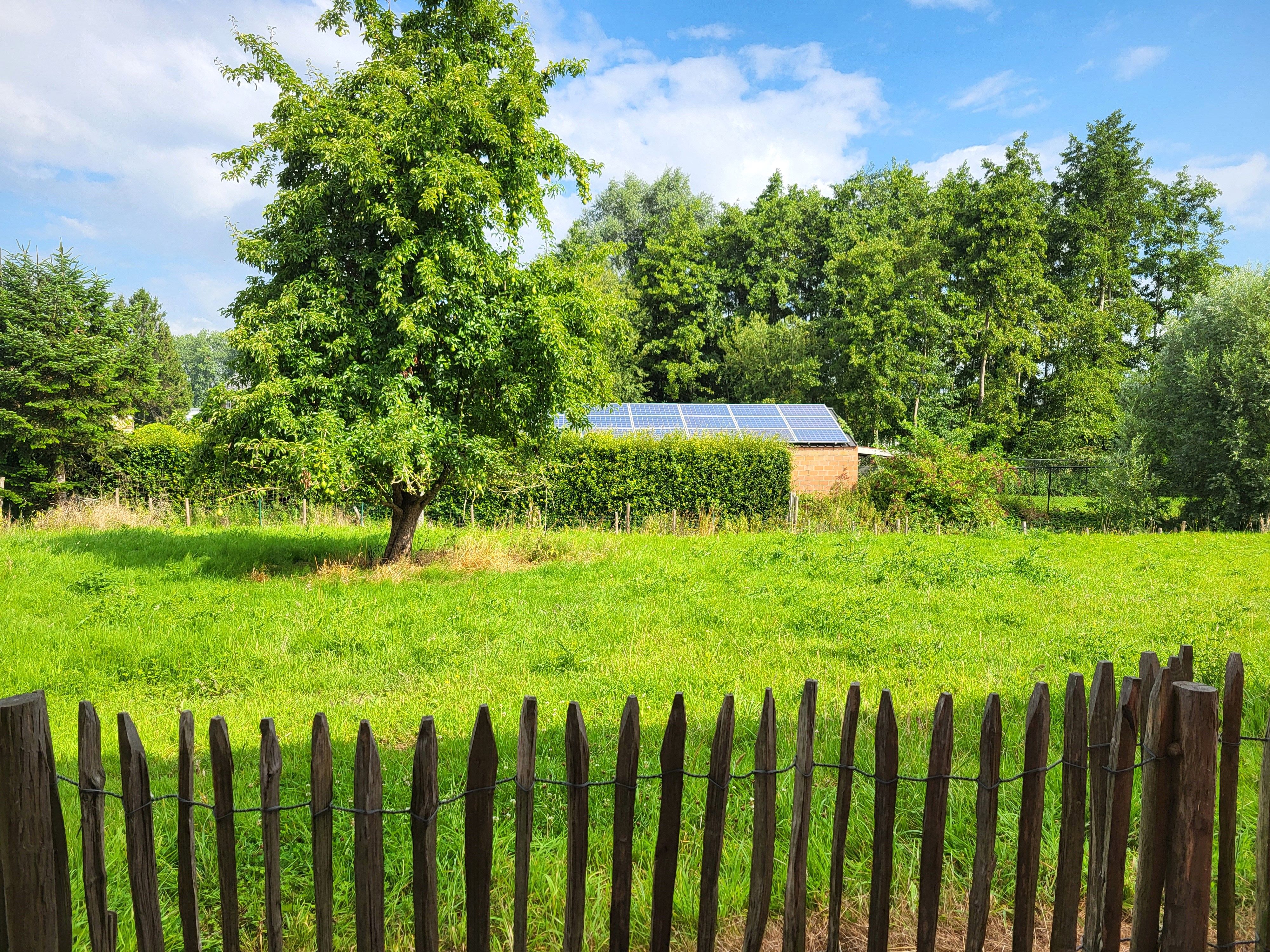 Prachtig burgerwoning/ hoeve op 1246m² met stallingen en aanpalend bouwgrond.  foto 3