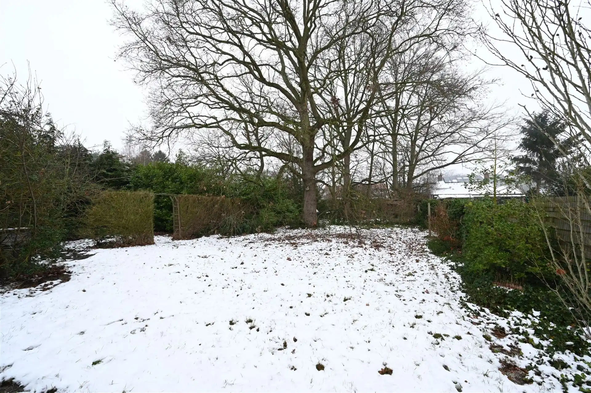 Projectgrond voor appartementen te centrum Begijnendijk. foto 3