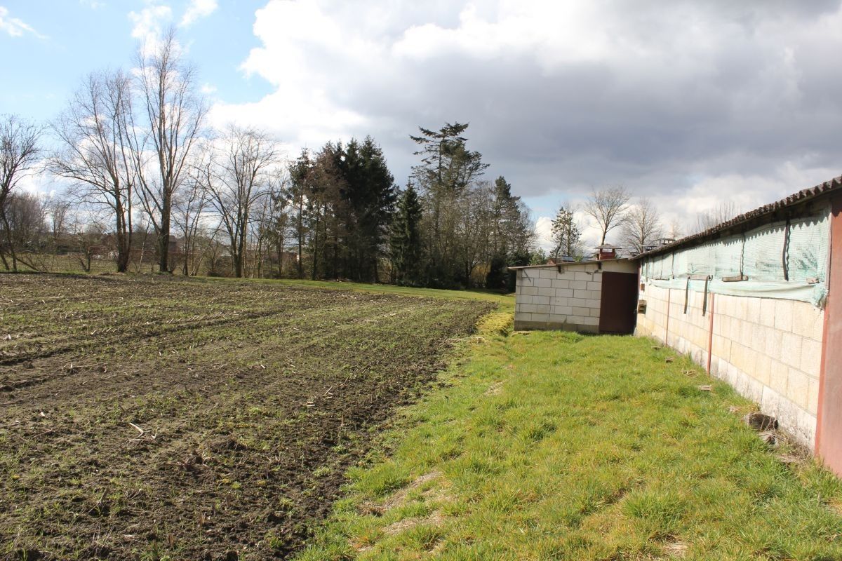 Hoeve met stallen en landbouwgrond te koop te Weelde foto 9