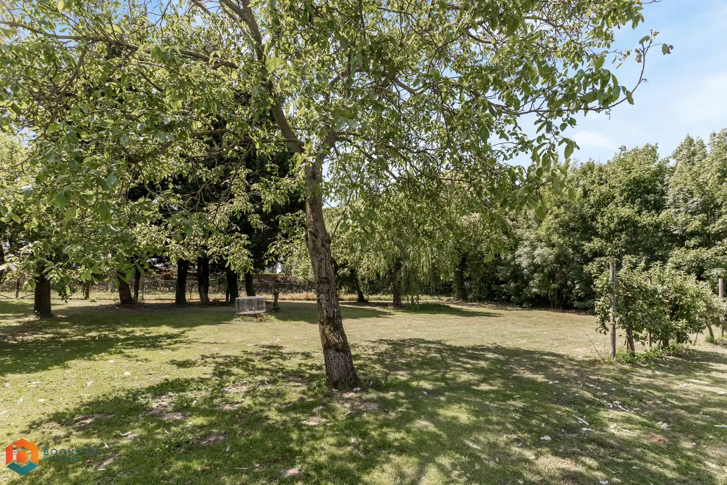 Hoeve op een ruim perceel van 5307 m² in prachtige groene omgeving foto 28