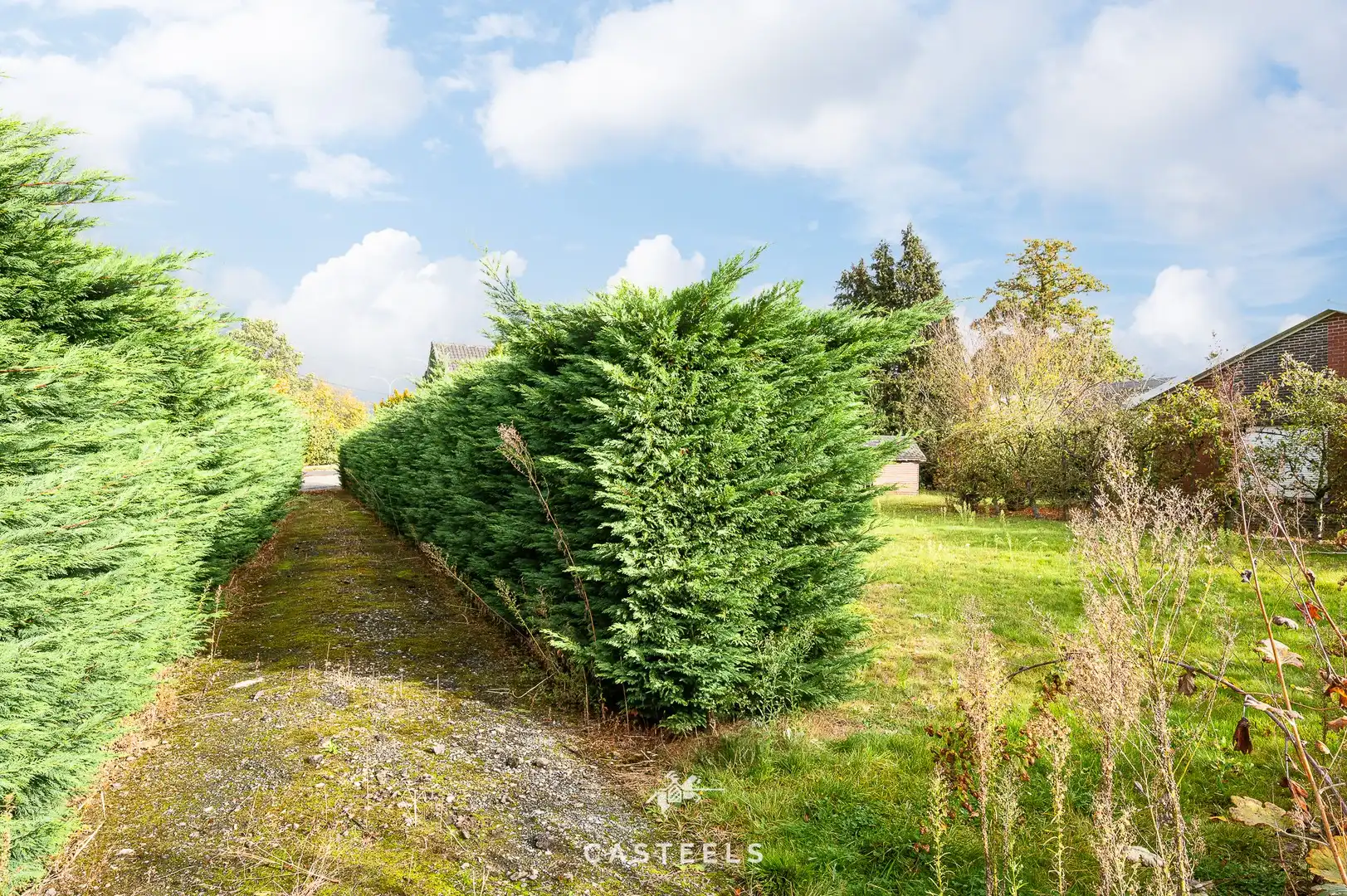 Te renoveren woning op perceel van 5.643m² in Kruisem te koop foto 20