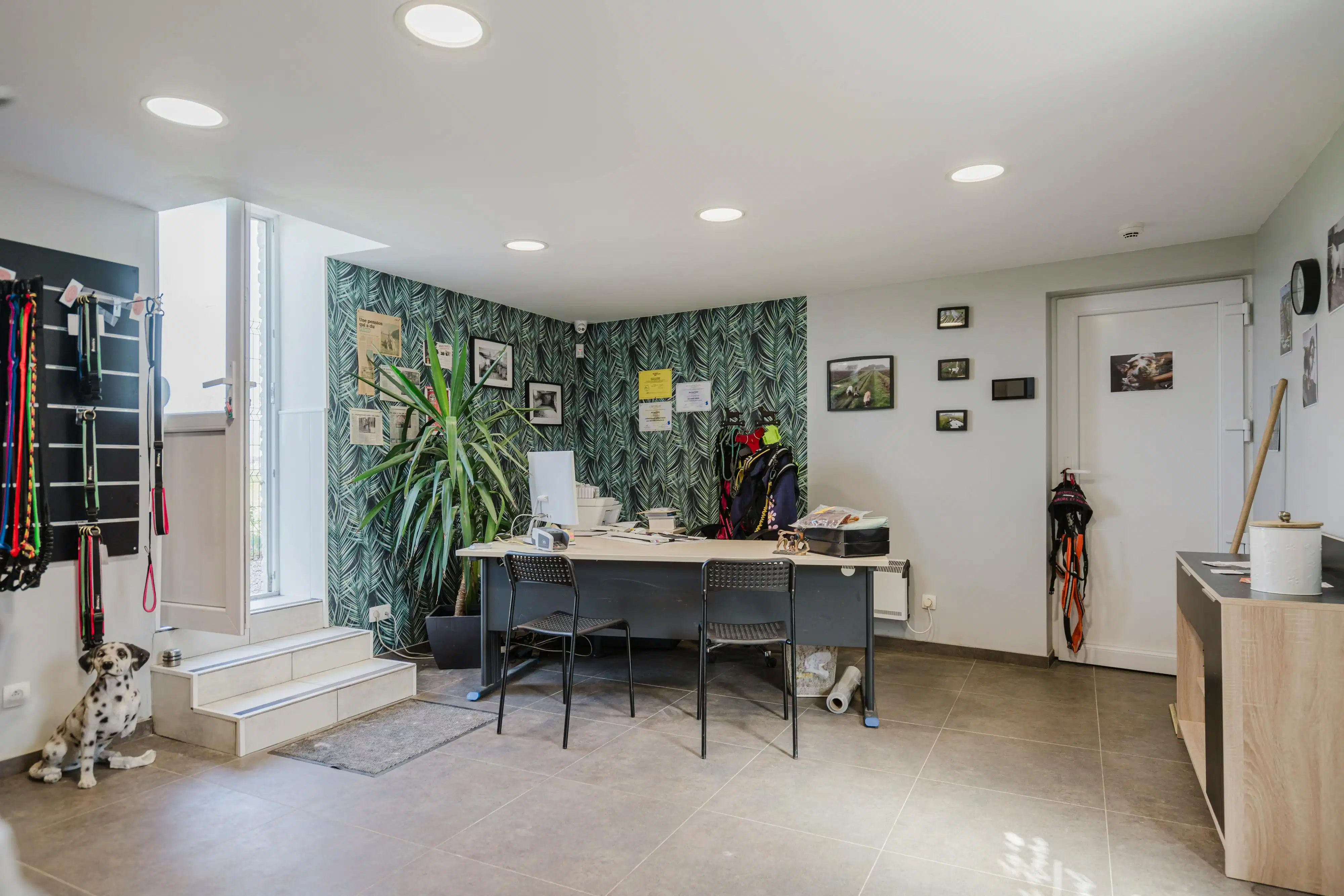 Karaktervolle hoeve met open zicht op de Kemmelberg en tal van mogelijkheden op 7.425 m² foto 30