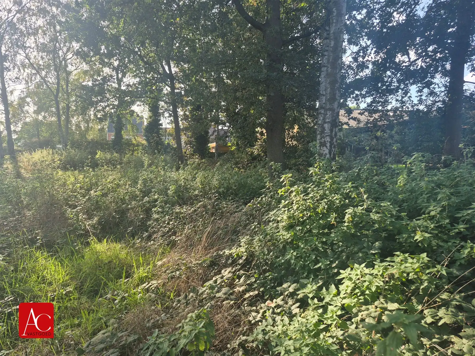 Recreatiegrond te Meerdonk foto 3
