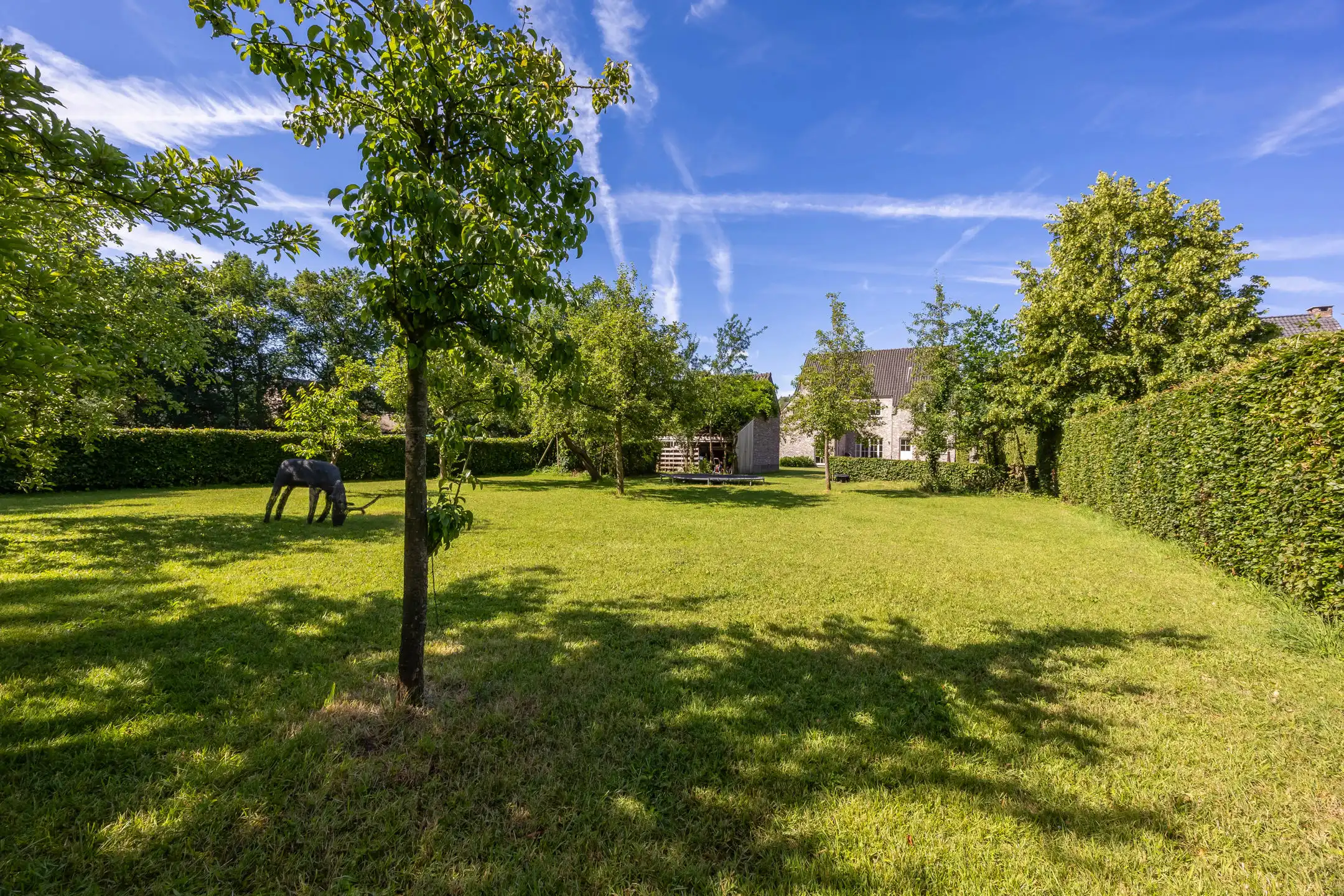 Rustig gelegen villa met prachtige tuin en zwemvijver foto 41