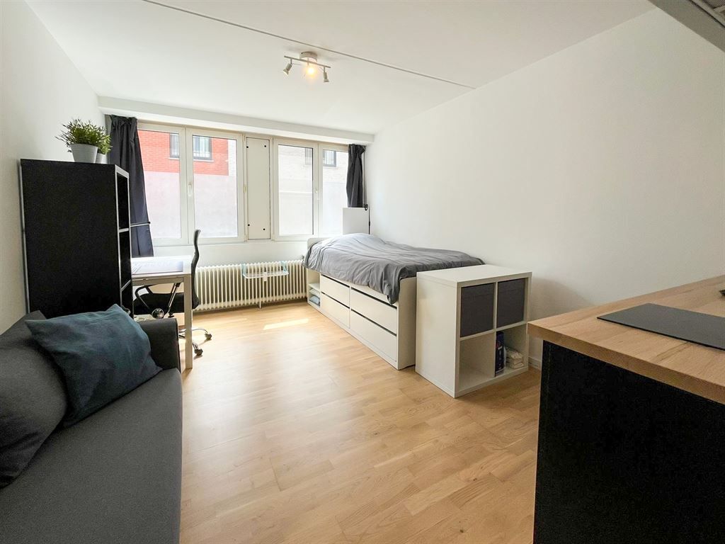 Gerenoveerde gelijkvloerse studio in hartje Leuven! foto 4