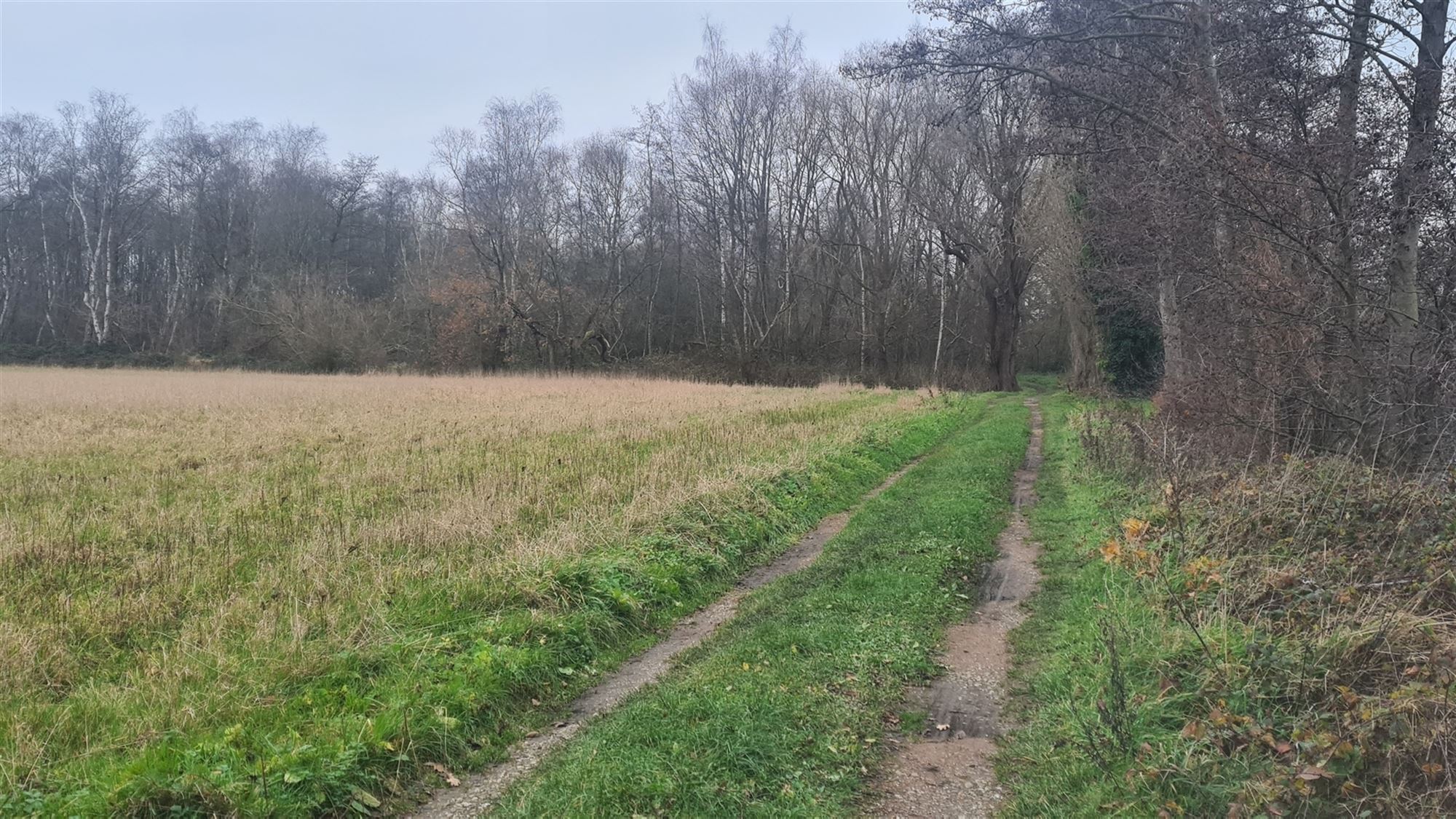 Landbouwgrond foto 5