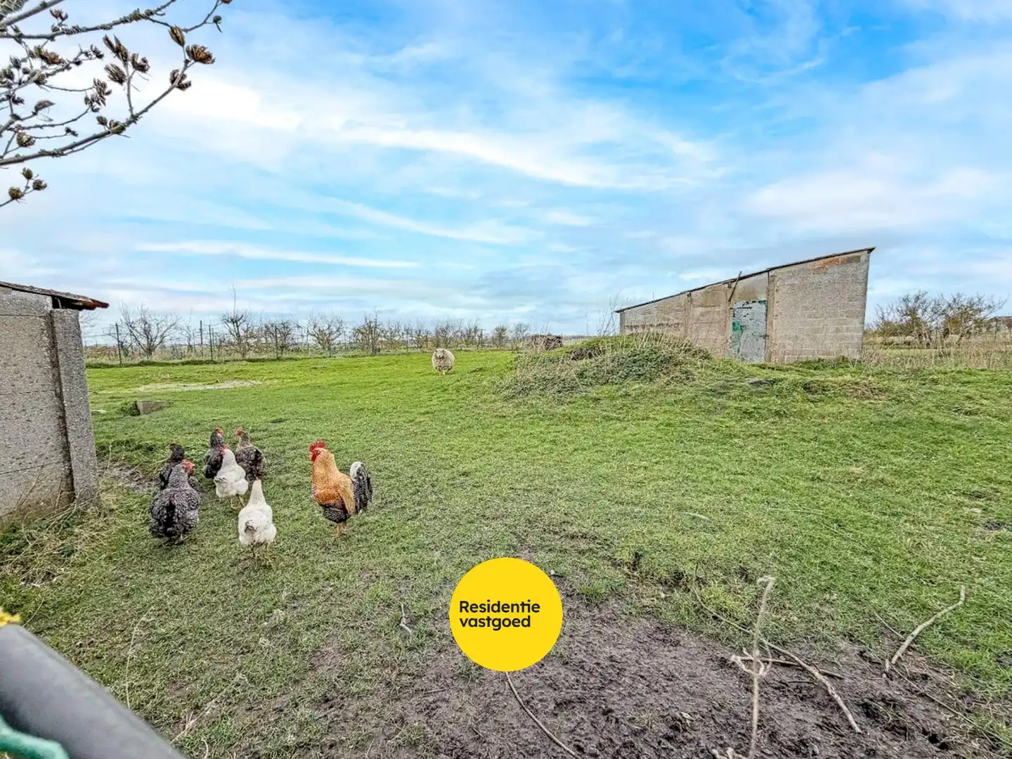 Recente open bebouwing (2019) op een perceel van maar liefst 44.888 m² foto 27