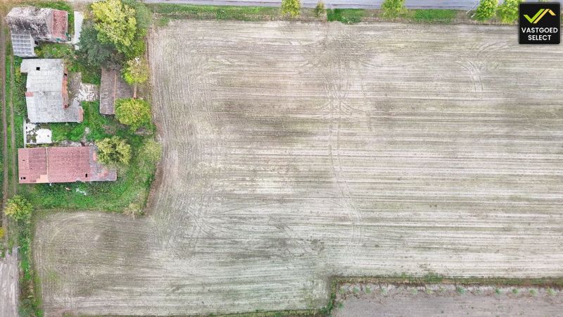 Te koop: Hoeve op 15.514 m² grond met potentieel – Moerstraat 14, Eeklo (nabij Sint-Laureins) foto 10