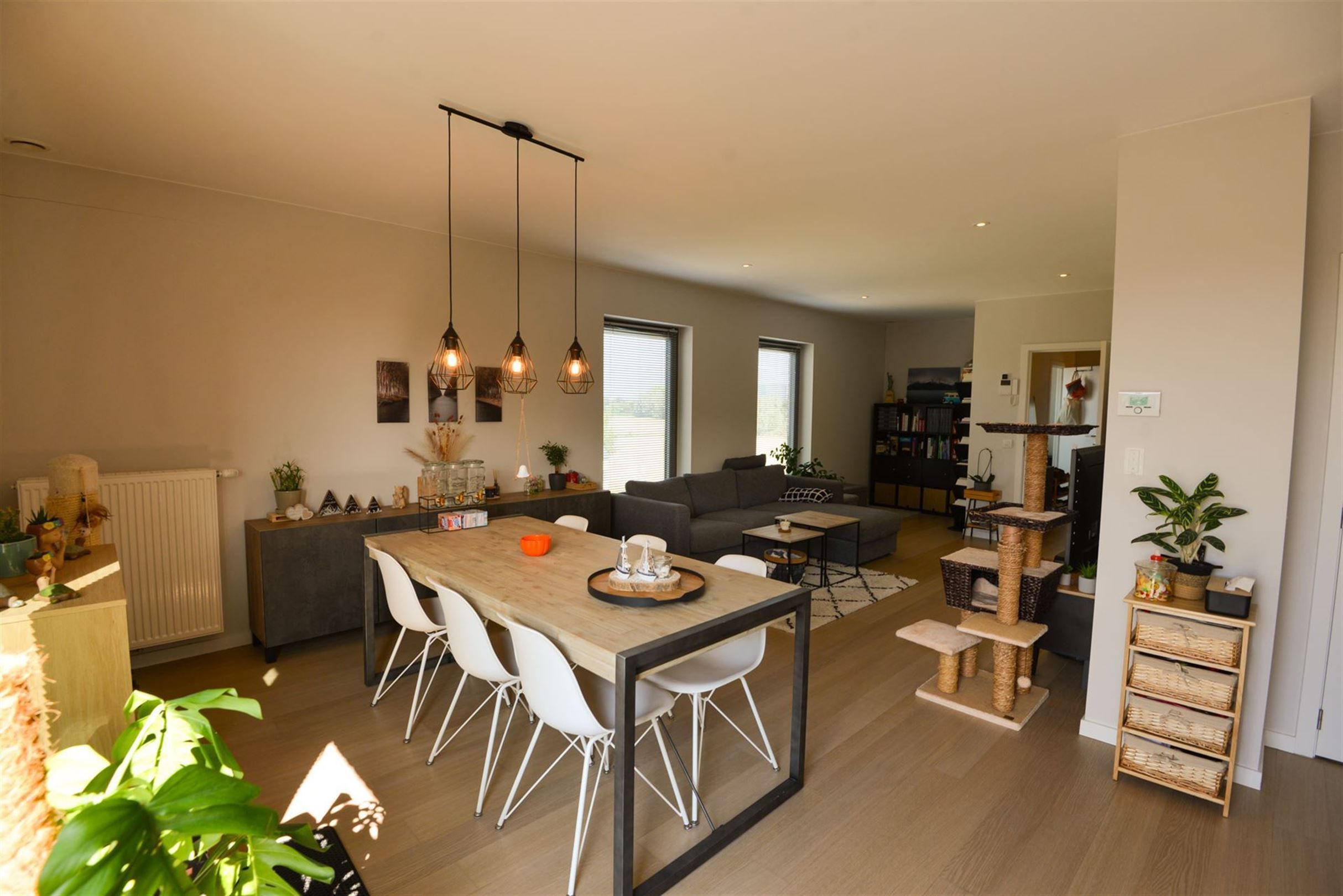 appartement foto 3