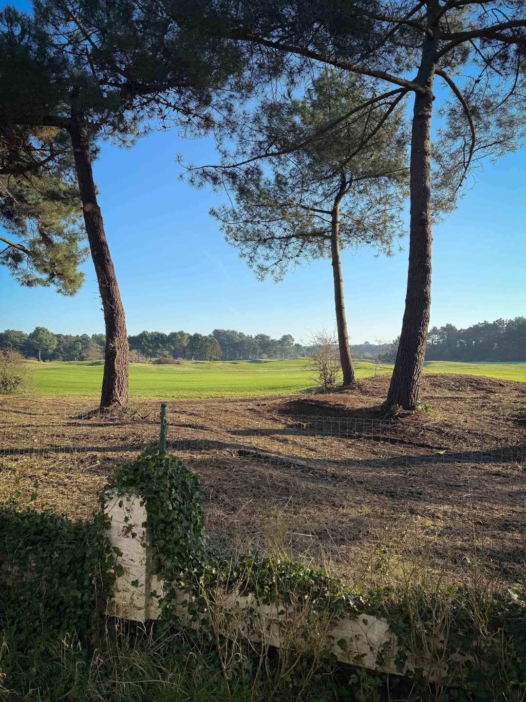 Koppelvilla met uniek zicht op de "Royal Zoute Golf Club"... foto 11