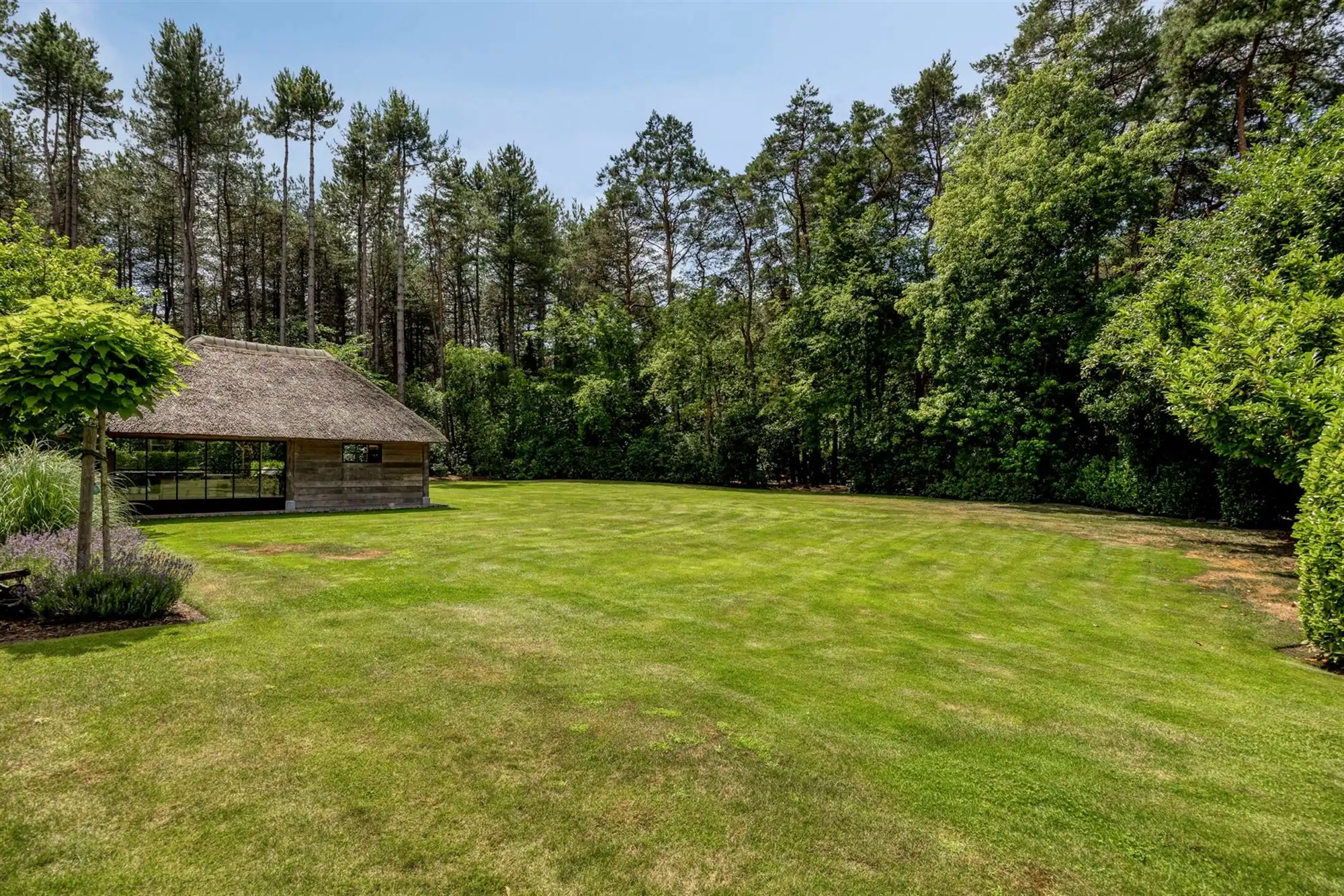 Landelijke luxe: unieke villa op ca. 11.000 m² privé-domein foto 80